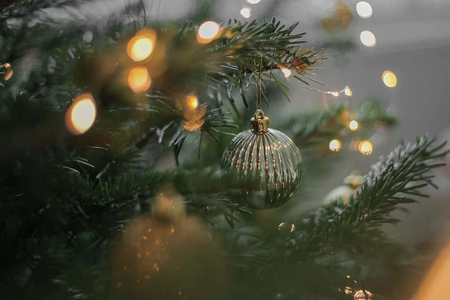 Christmas Night, shimmering glass ornament, pine branch, SD Desktop Wallpaper