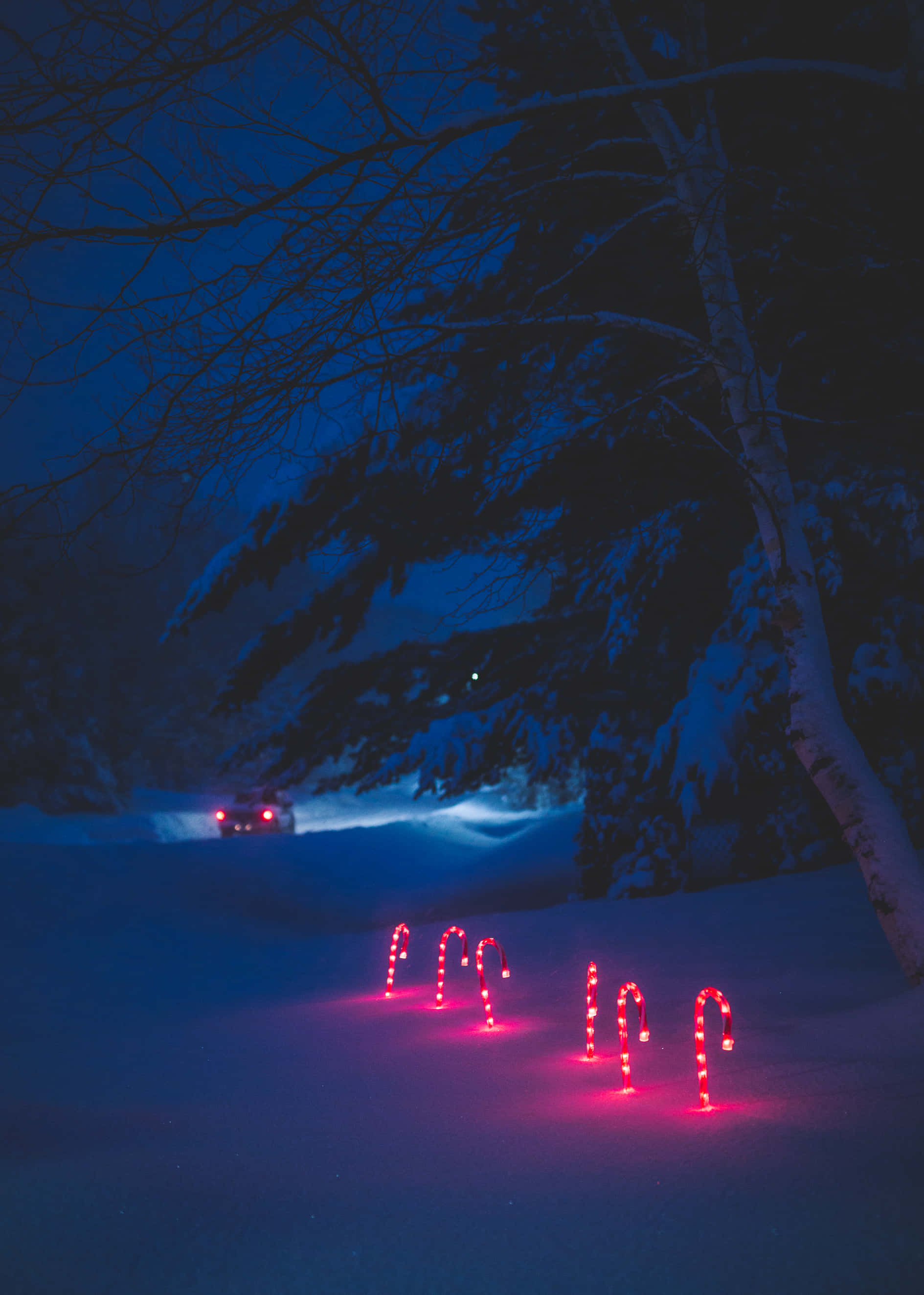 Christmas Night, red candy cane lights, deep blue snow, 2K Phone Wallpaper