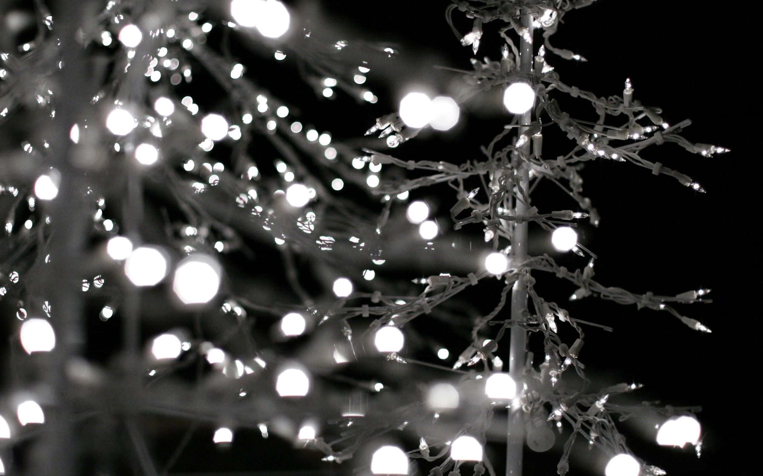 Christmas Night, glowing string lights, bare tree branches, 2K Desktop Wallpaper