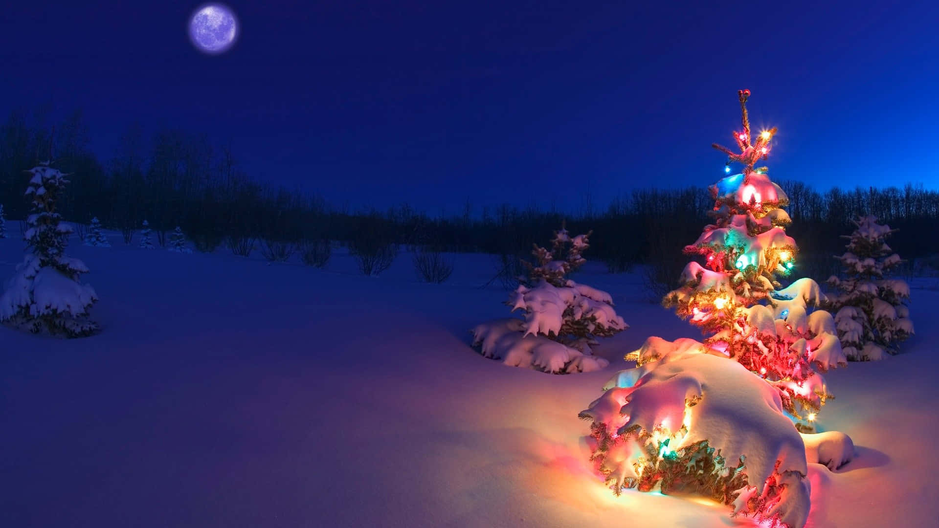 Christmas tree, snow-covered, colorful lights, Full HD Desktop Wallpaper