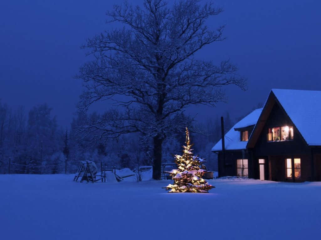 Christmas Night, snow-covered cabin, lit Christmas tree, SD Desktop Wallpaper