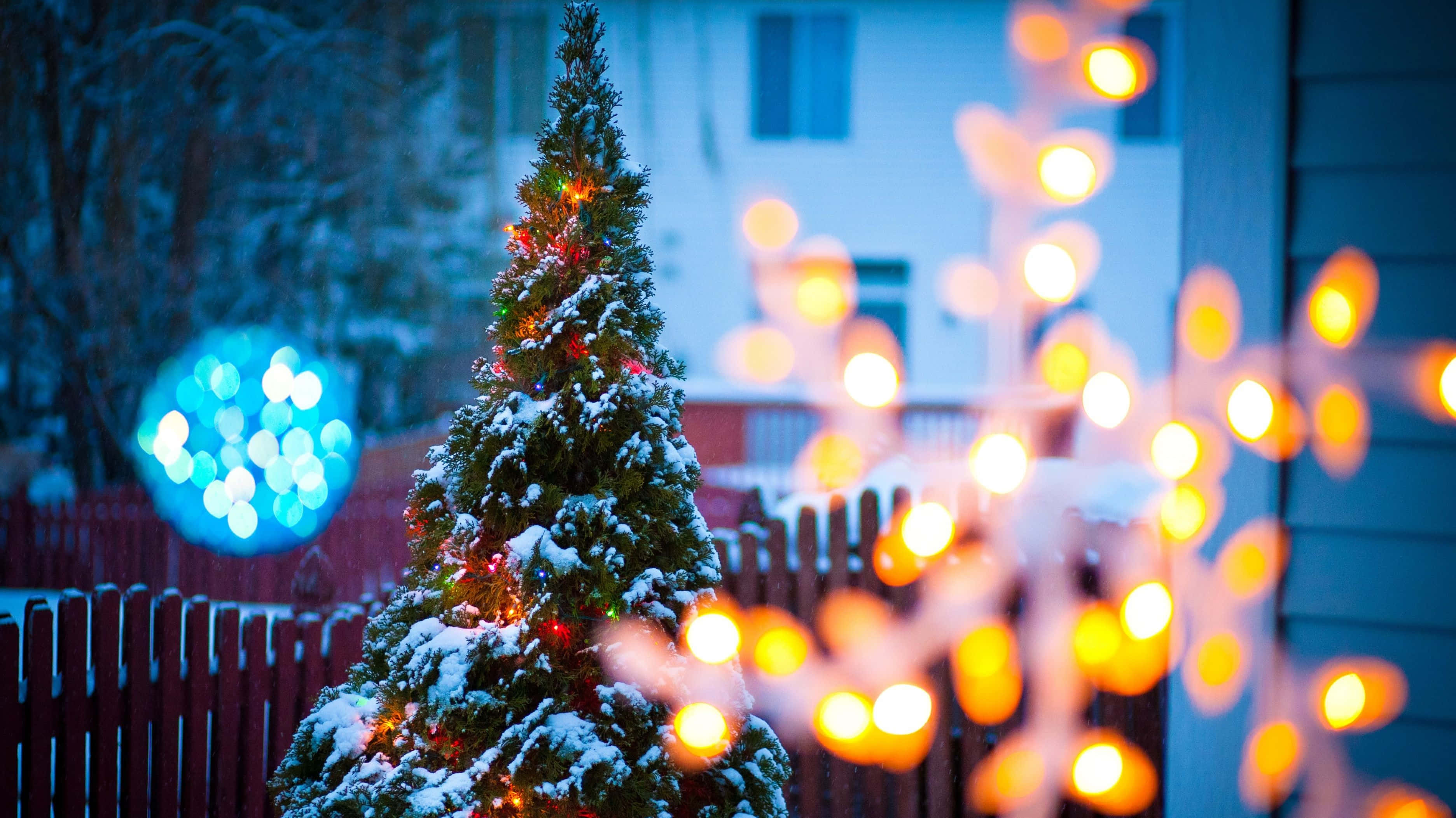 Christmas PC, snow-dusted Christmas tree, warm lights, 2K Desktop Wallpaper