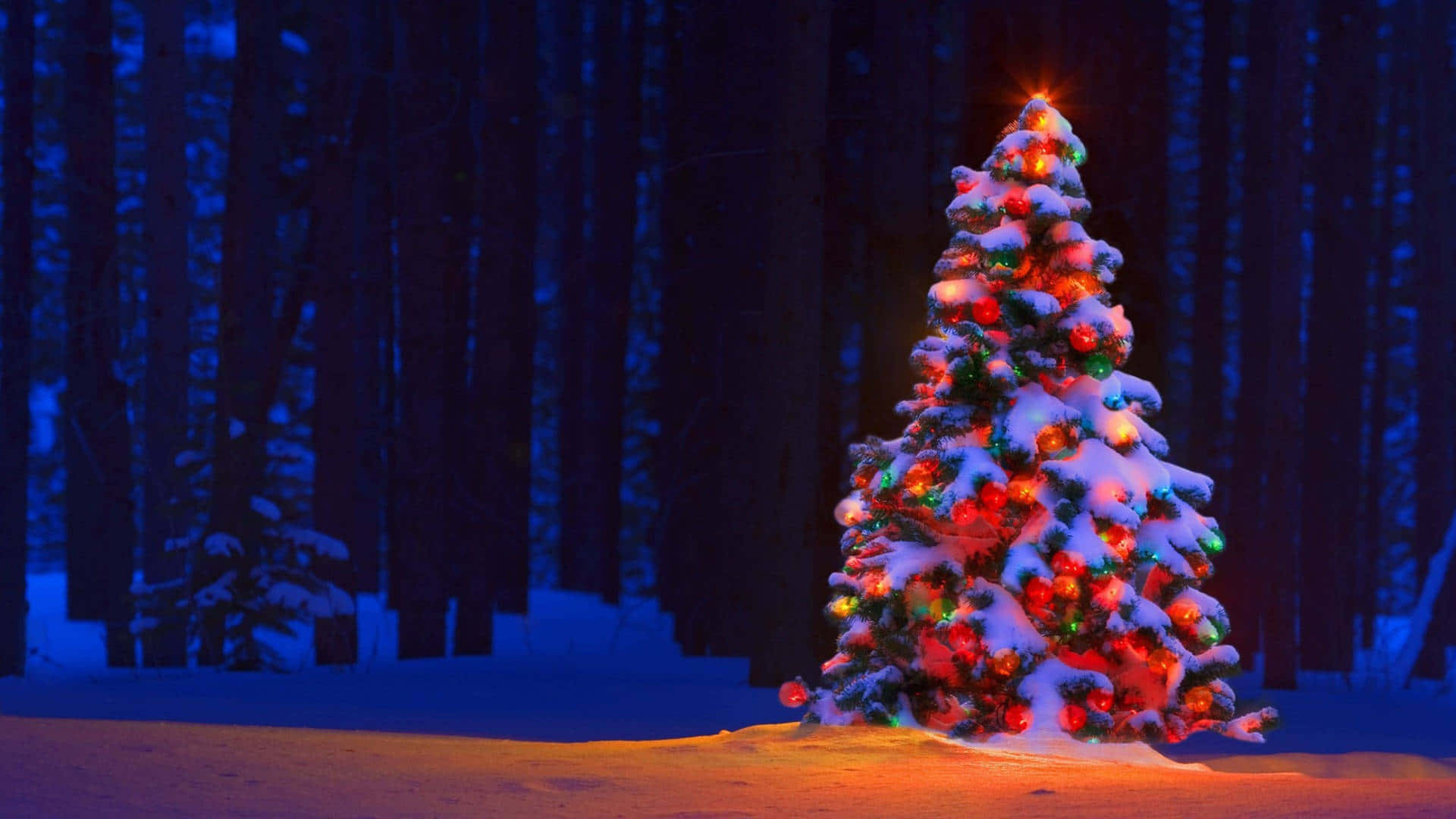 Christmas tree, snow-covered, colorful lights, Full HD Desktop Wallpaper
