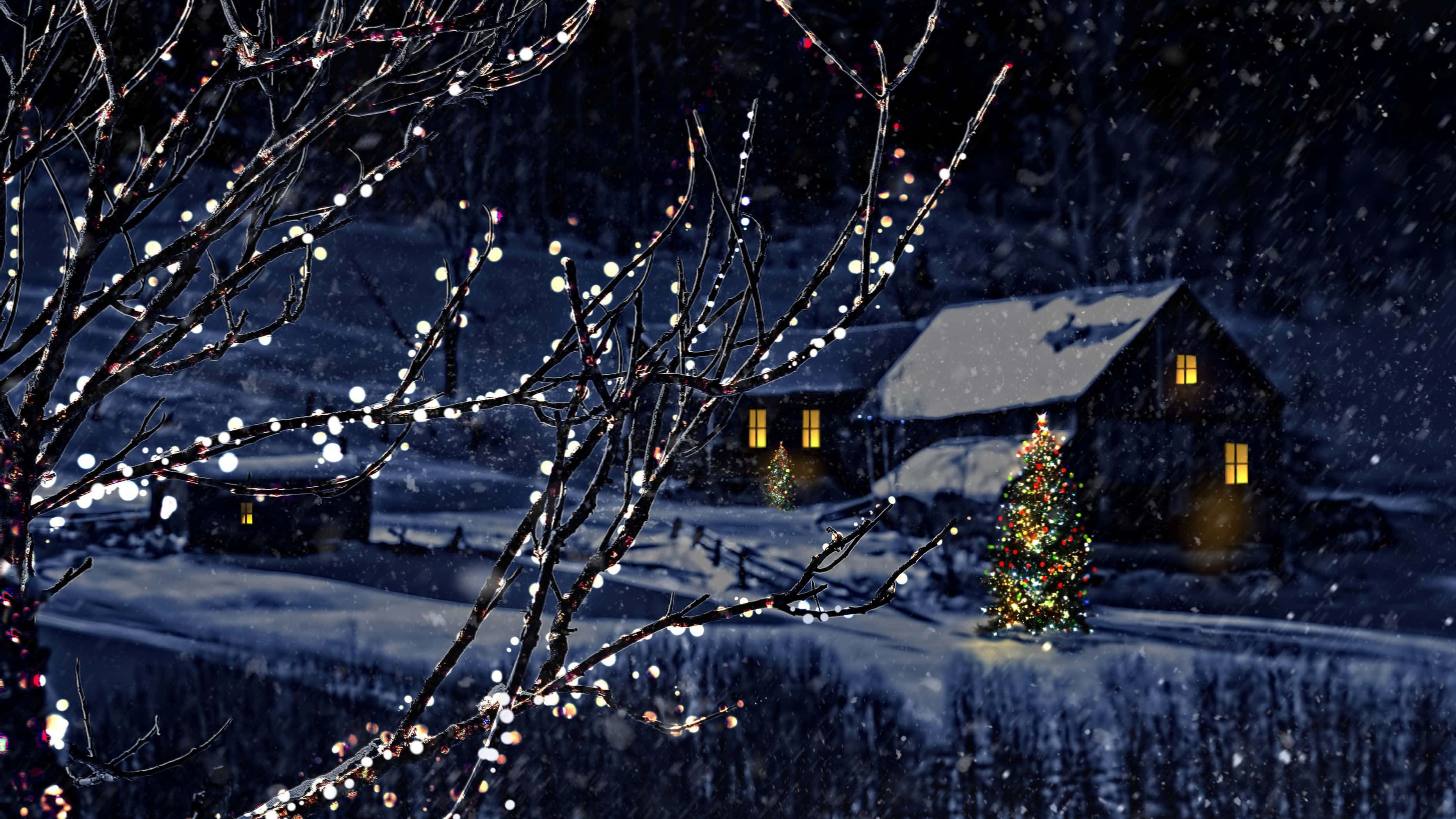 Christmas tree, cozy cabin, snow, 2K Desktop Wallpaper