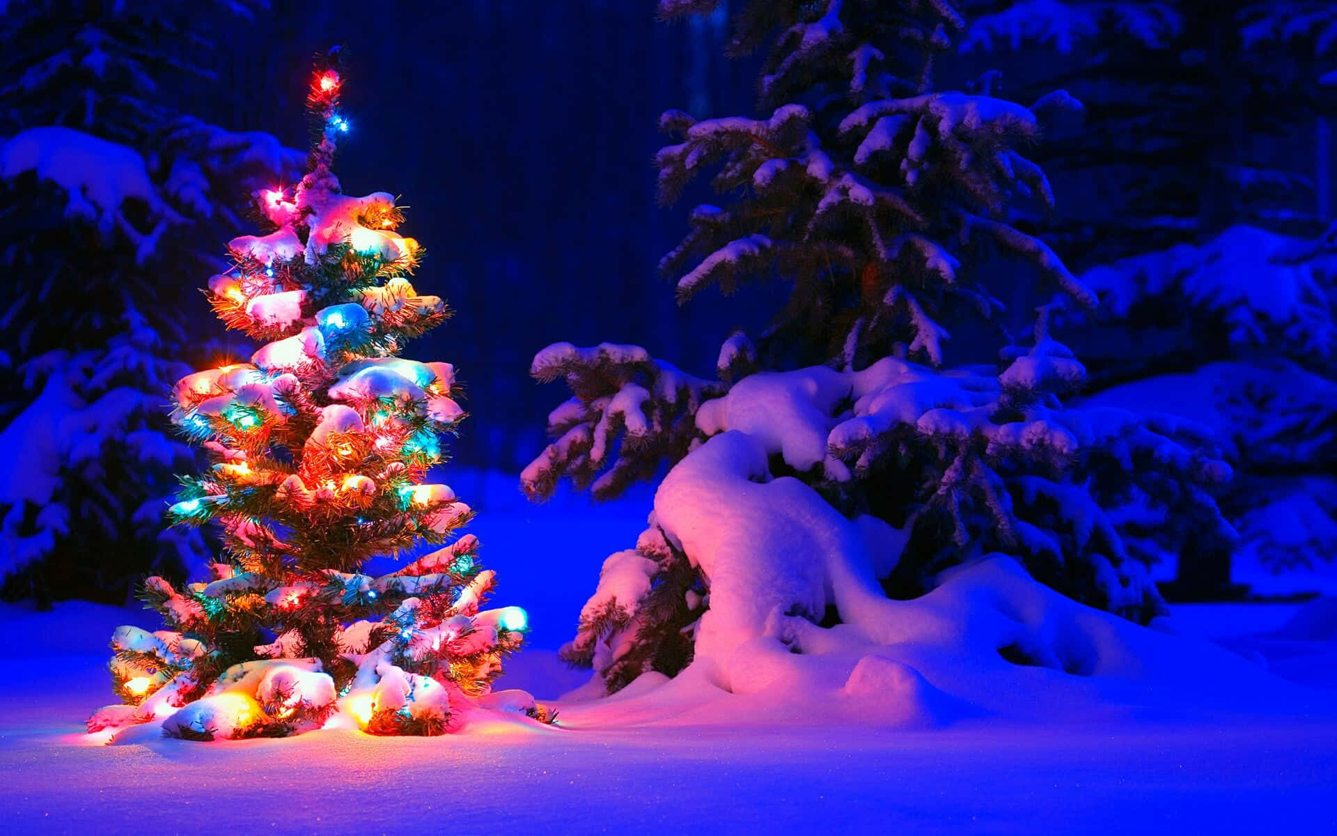 Christmas PC, Christmas tree, colorful lights, Full HD Desktop Wallpaper