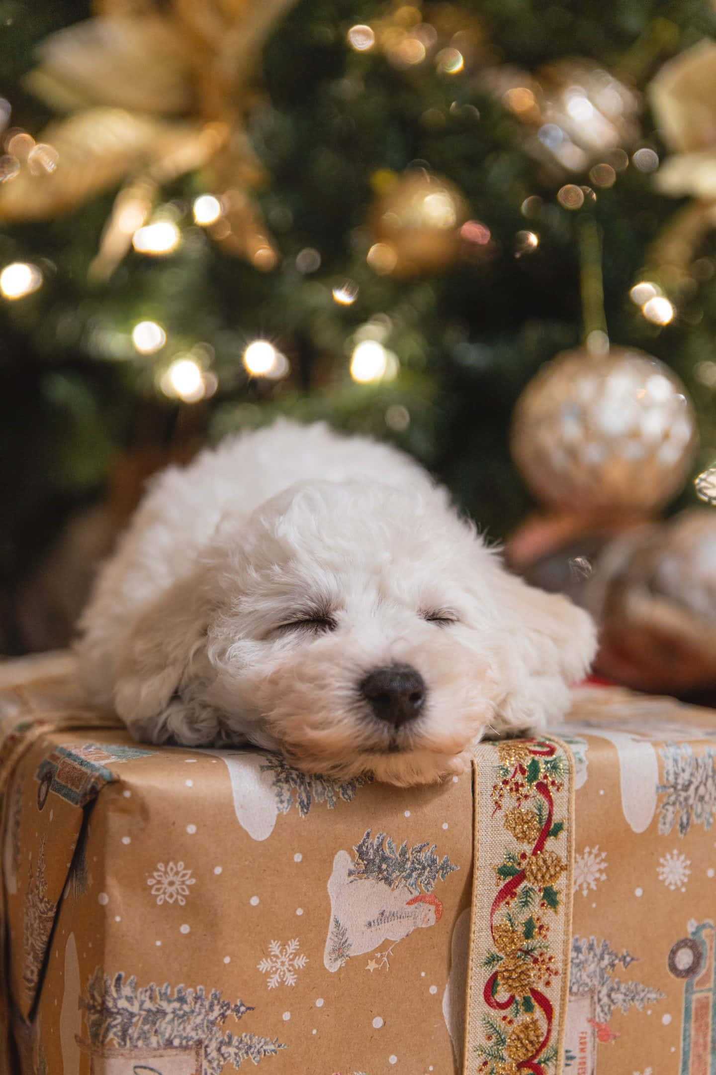 white puppy, Christmas gift, festive brown paper, Full HD Phone Wallpaper