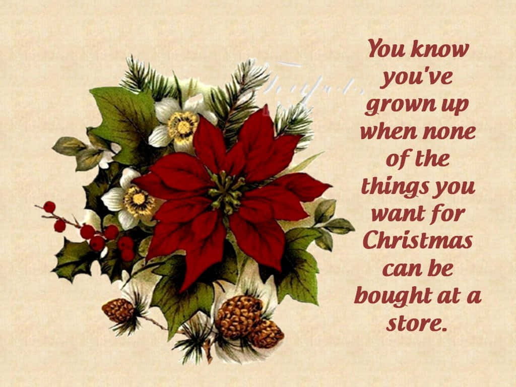 red poinsettia, holly, pinecones, SD Desktop Wallpaper