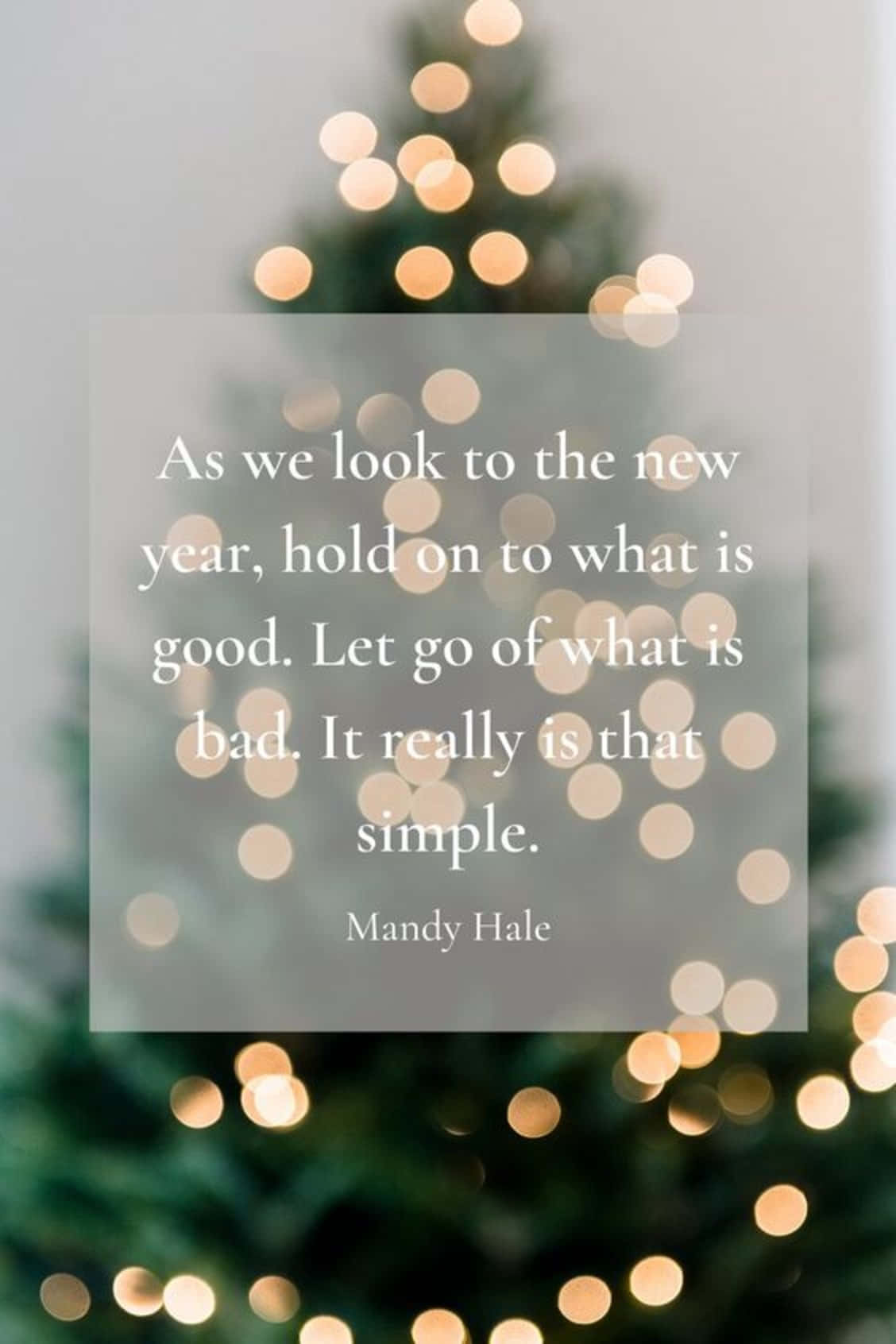 Christmas Quote, motivational quote, softly blurred Christmas tree, HD Phone Wallpaper