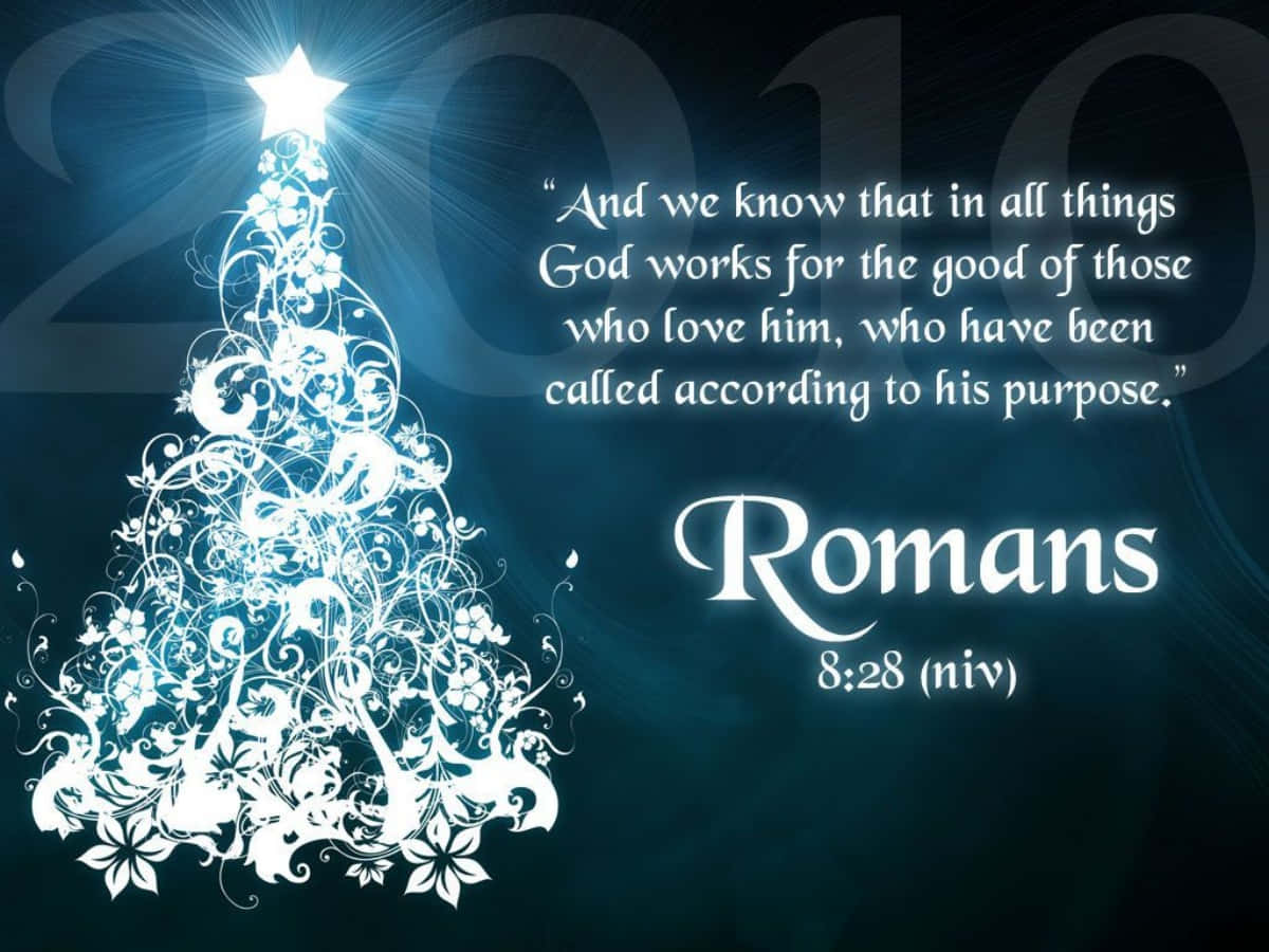 Christmas tree, star, dark blue background, SD Desktop Wallpaper