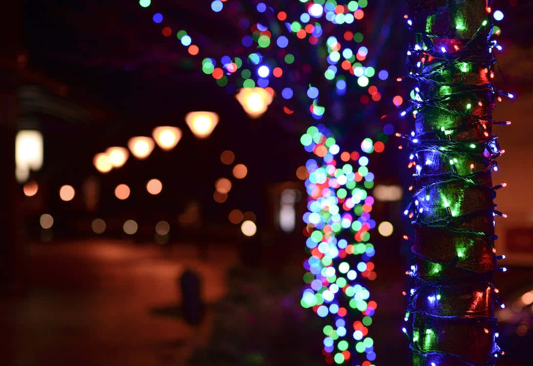 Christmas night, tree trunk, vibrant bokeh lights, SD Desktop Wallpaper
