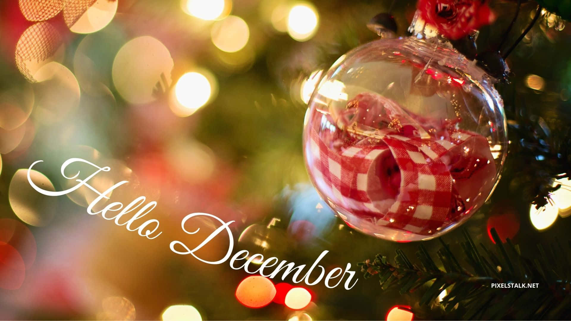 red and white checkered ribbon, Christmas tree, warm glowing lights, Full HD Desktop Wallpaper