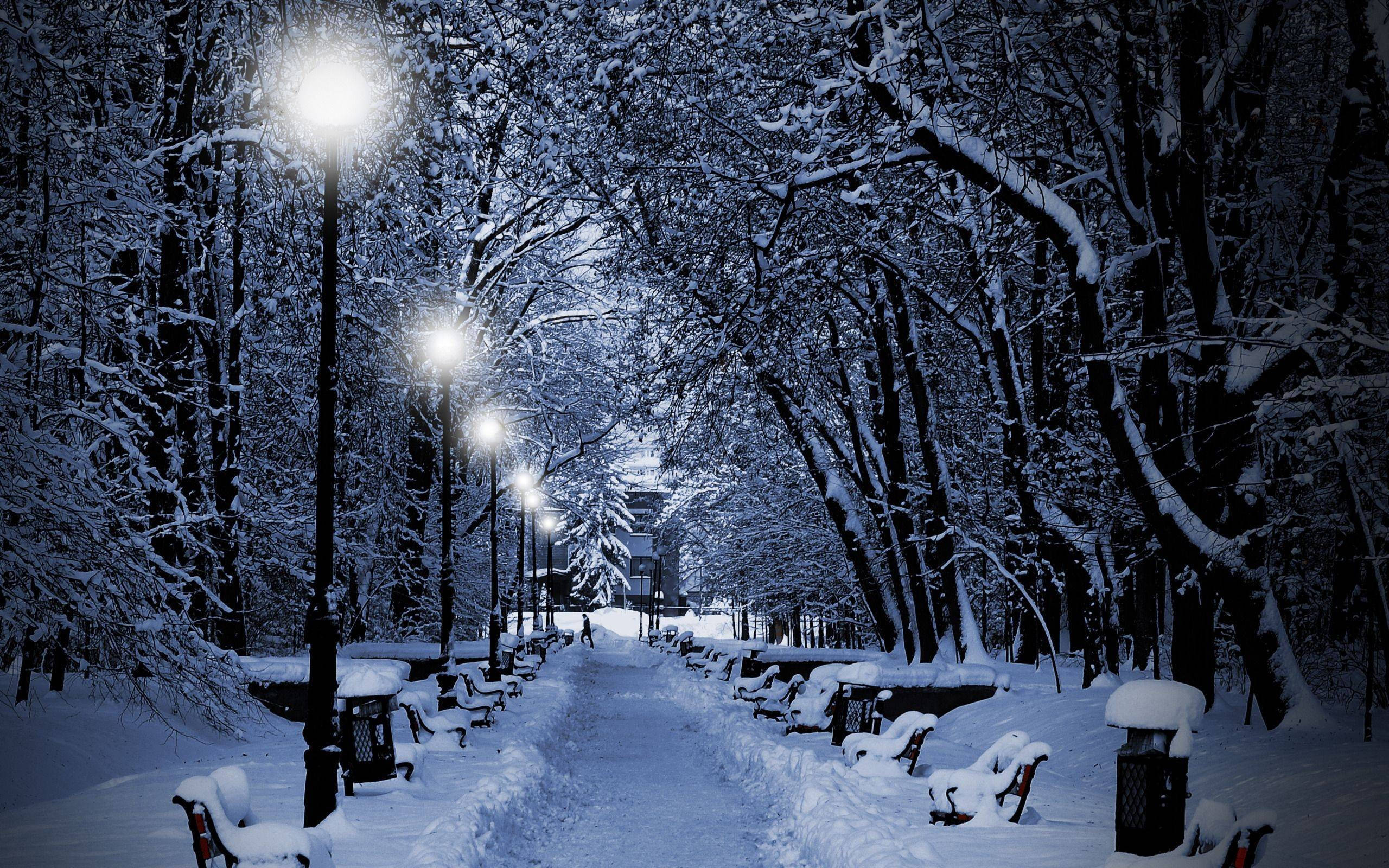 snow-covered park pathway, night, glowing street lamps, 2K Desktop Wallpaper