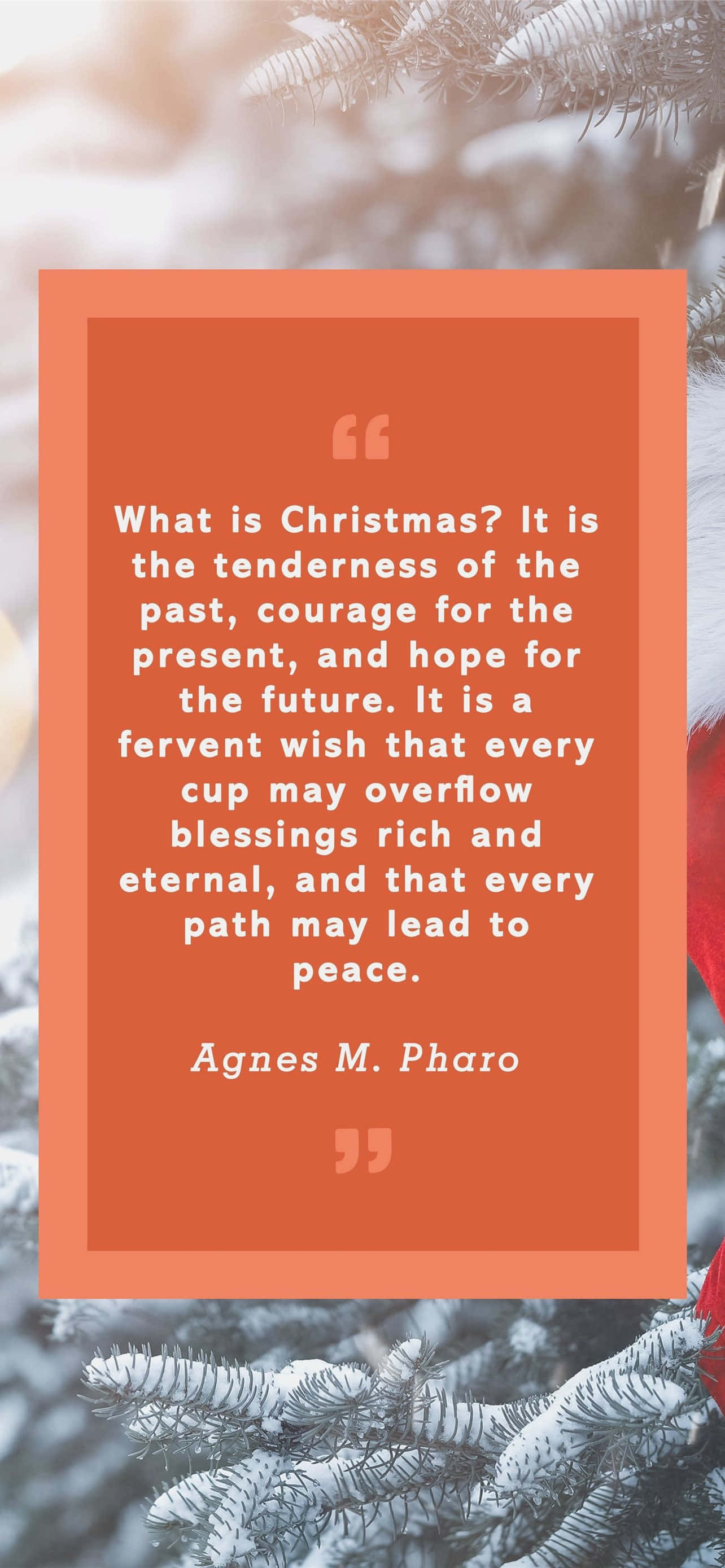 Fervent Wish Of Christmas, orange, snowy pine branch, 2K Phone Wallpaper