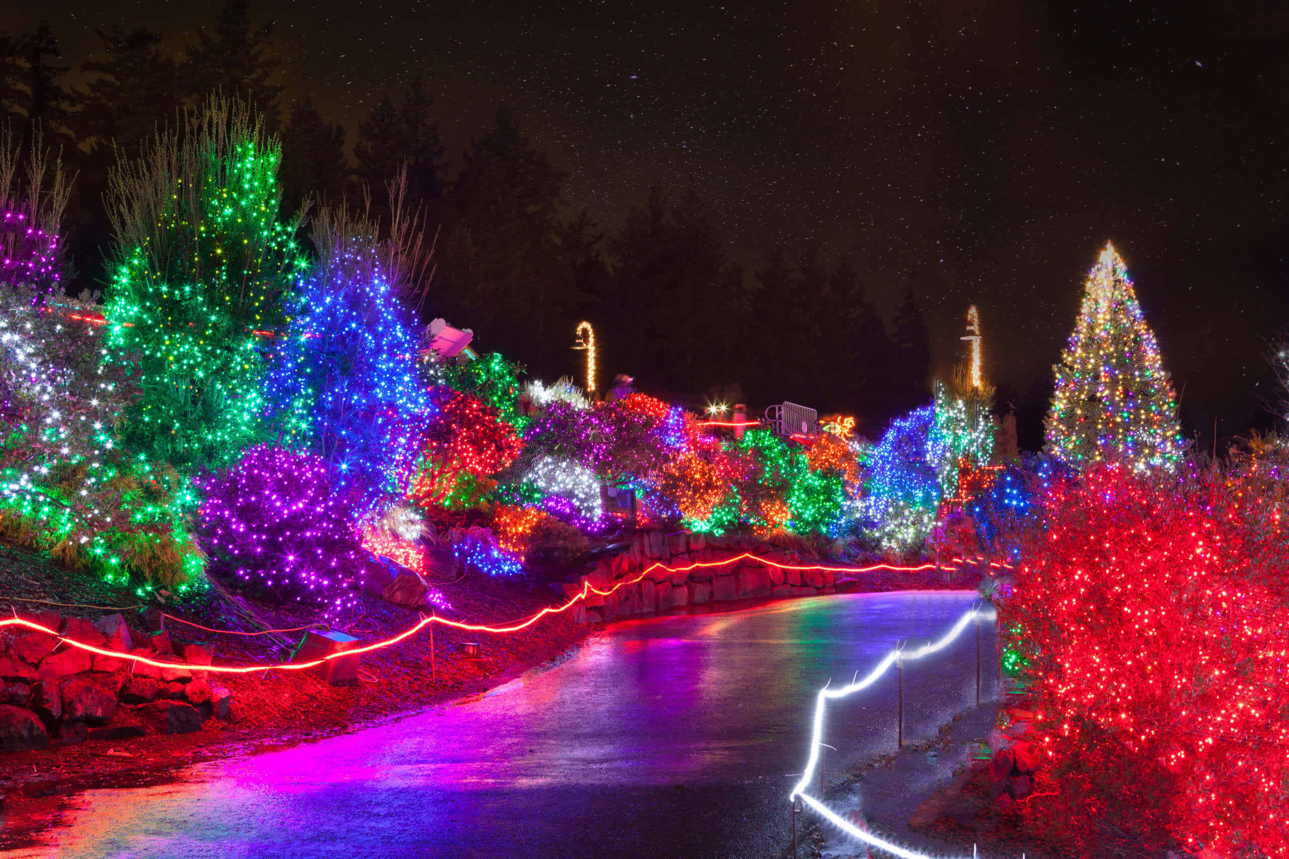 Christmas Rainbow, snow-covered landscape, winding path, 2K Desktop Wallpaper
