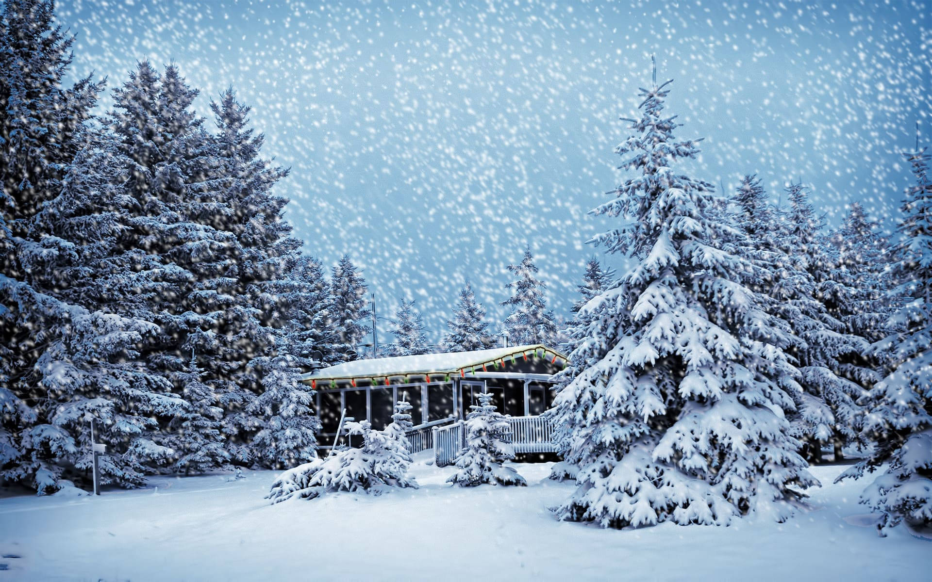 cozy cabin, snow-laden evergreens, gentle snowfall, Full HD Desktop Wallpaper