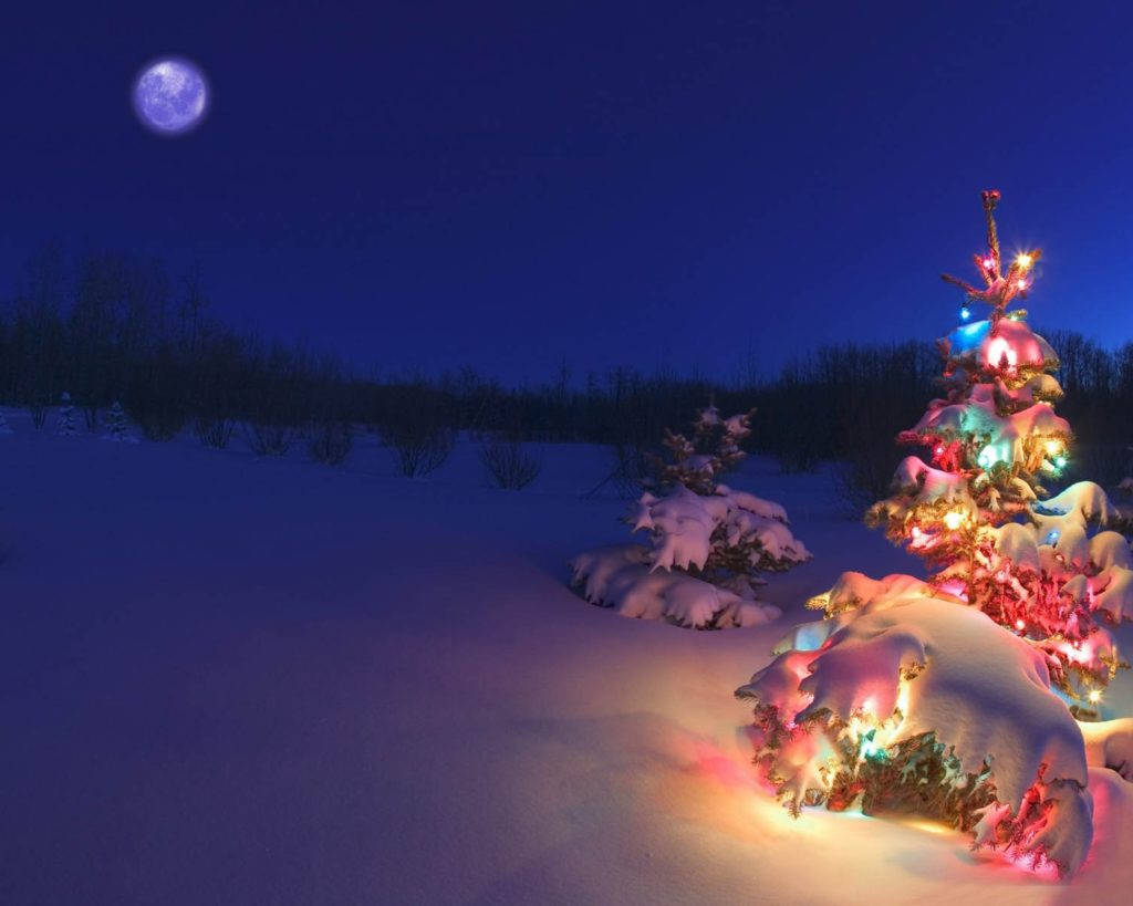 Christmas Scenes, outdoor Christmas tree, snow-covered, SD Desktop Wallpaper