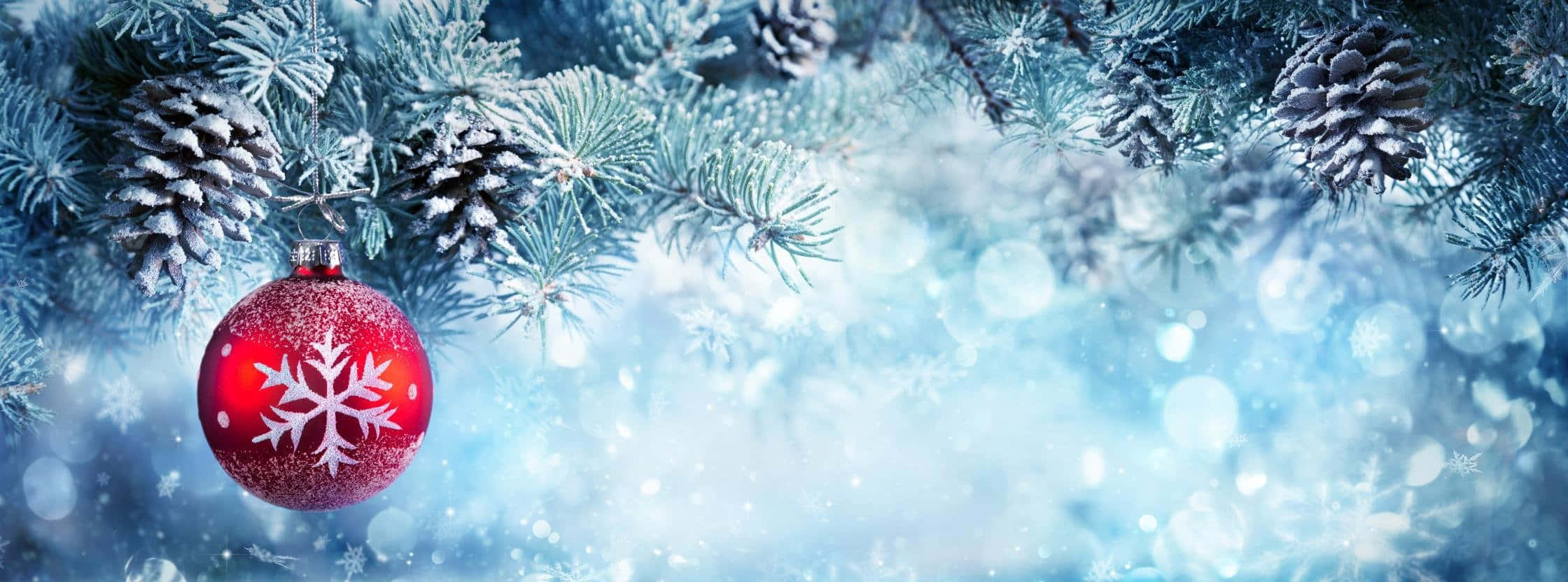 Blue Christmas, red snowflake ornament, frosty pine branches, Full HD Desktop Wallpaper