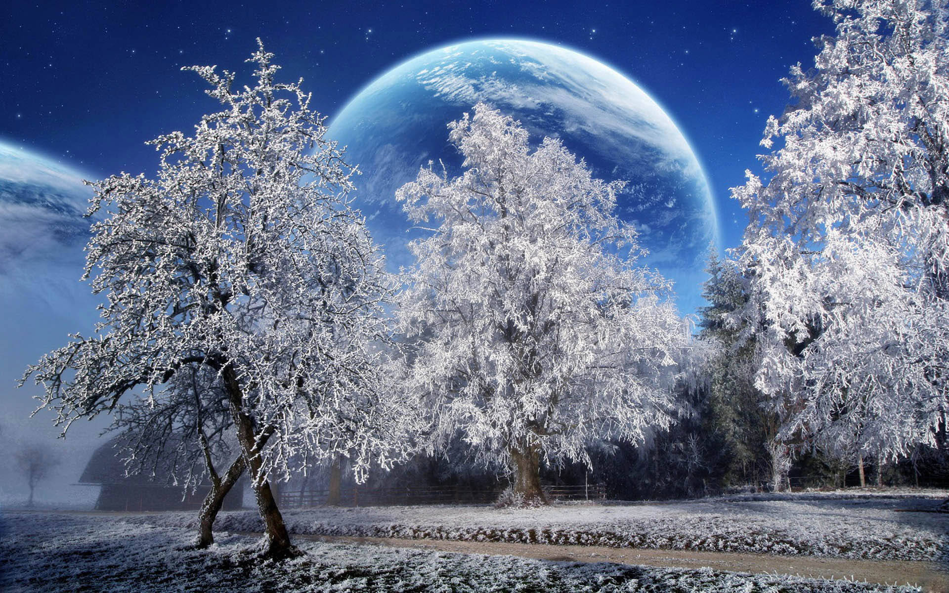 Christmas Scenes, winter, snow-covered trees, Full HD Desktop Wallpaper