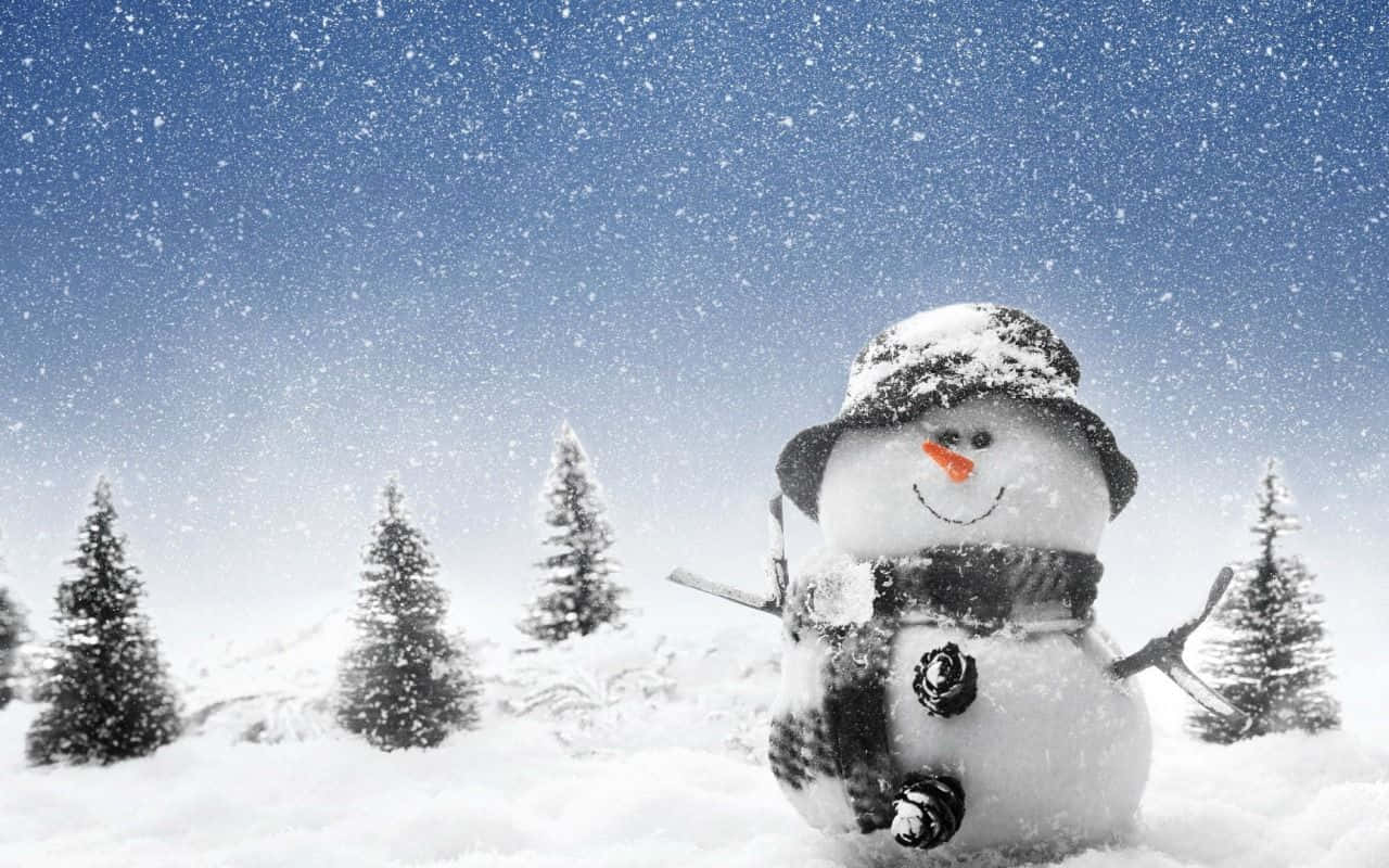 Christmas Snowman, snowman, hat, HD Desktop Wallpaper