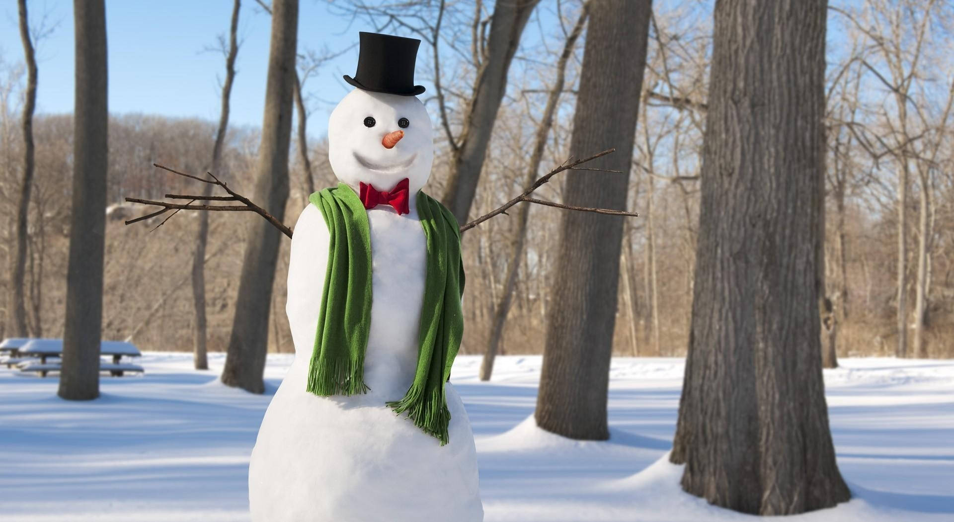Christmas and New Year's Snowman, top hat, red bow tie, Full HD Desktop Wallpaper