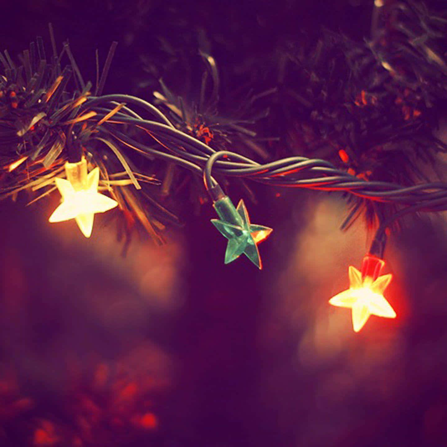 Christmas Star, star-shaped fairy lights, warm glow, HD Desktop Wallpaper
