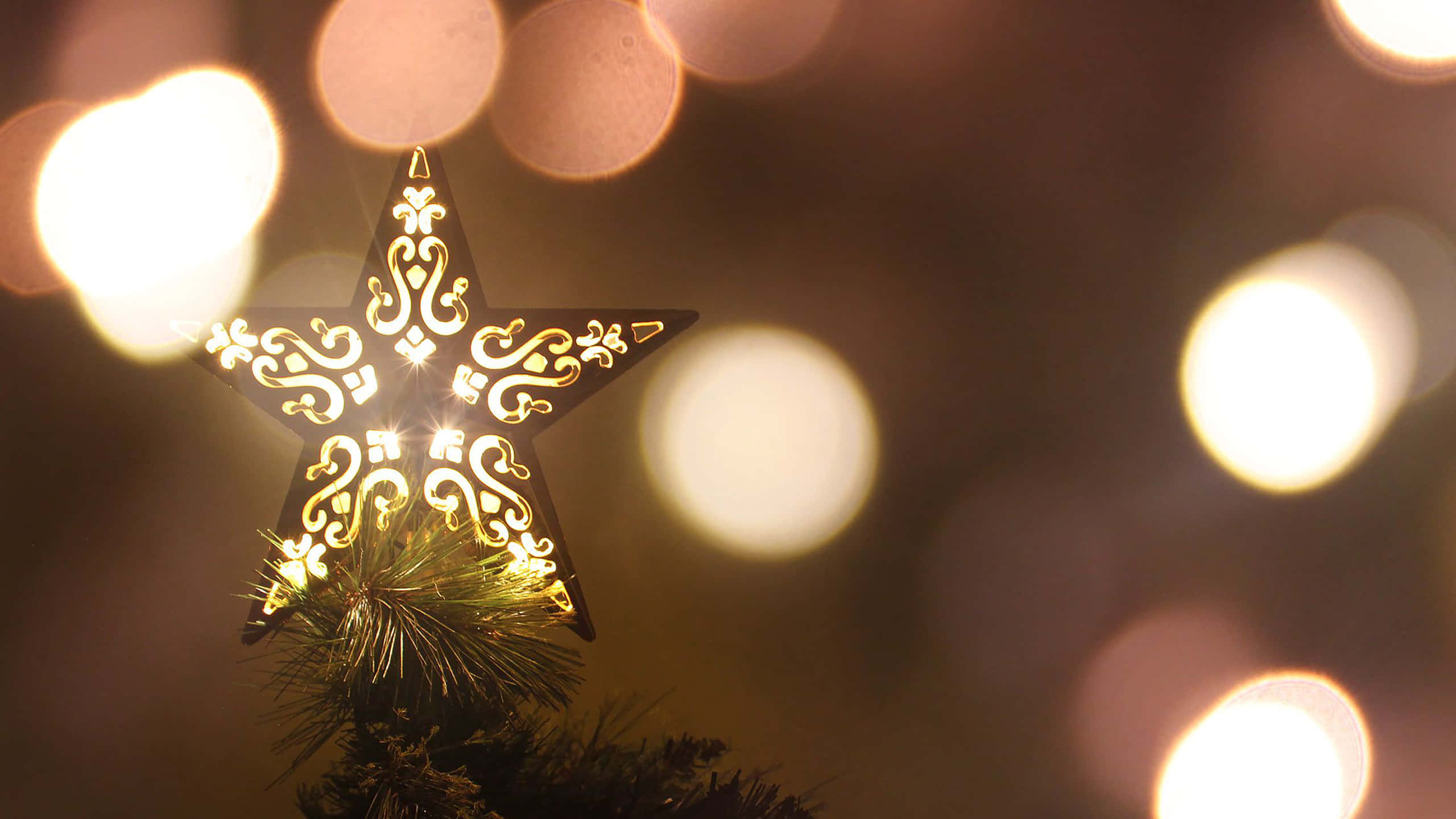Christmas Star, pine tree, glowing ornate star, 2K Desktop Wallpaper