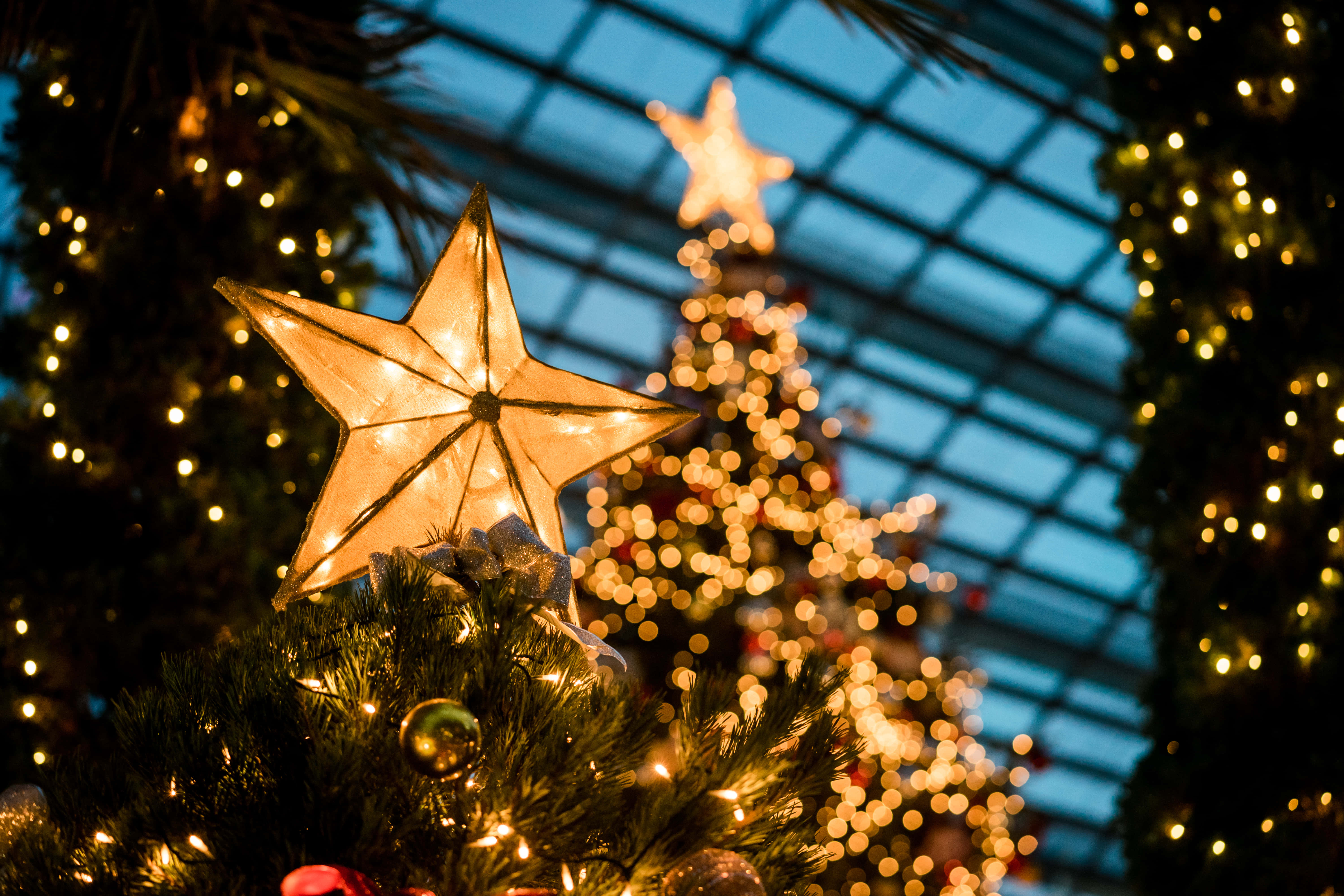 Christmas star, glowing star ornament, Christmas tree, 5K Desktop Wallpaper