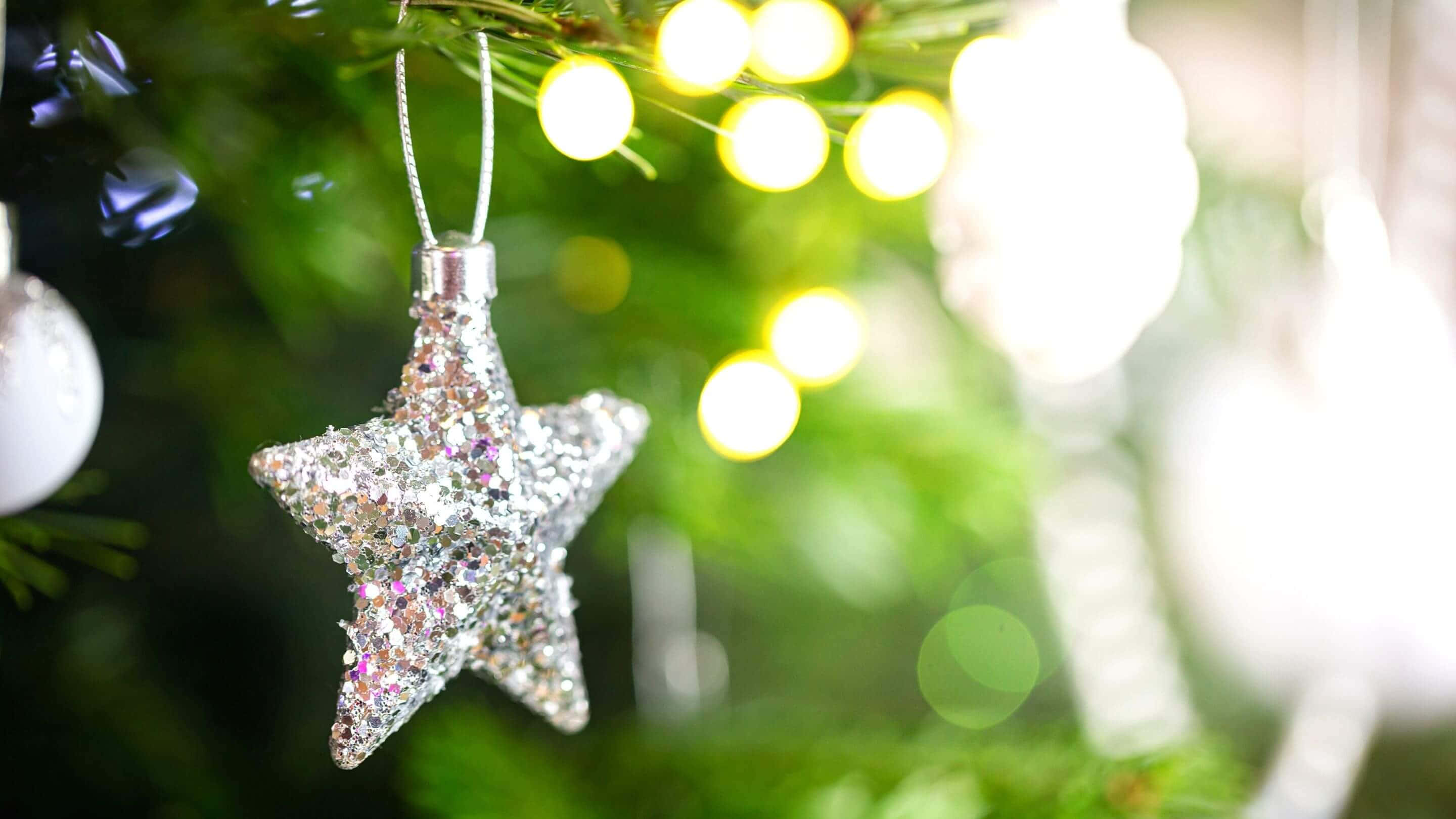 Christmas Star, Metallic Silver, green pine branch, 2K Desktop Wallpaper
