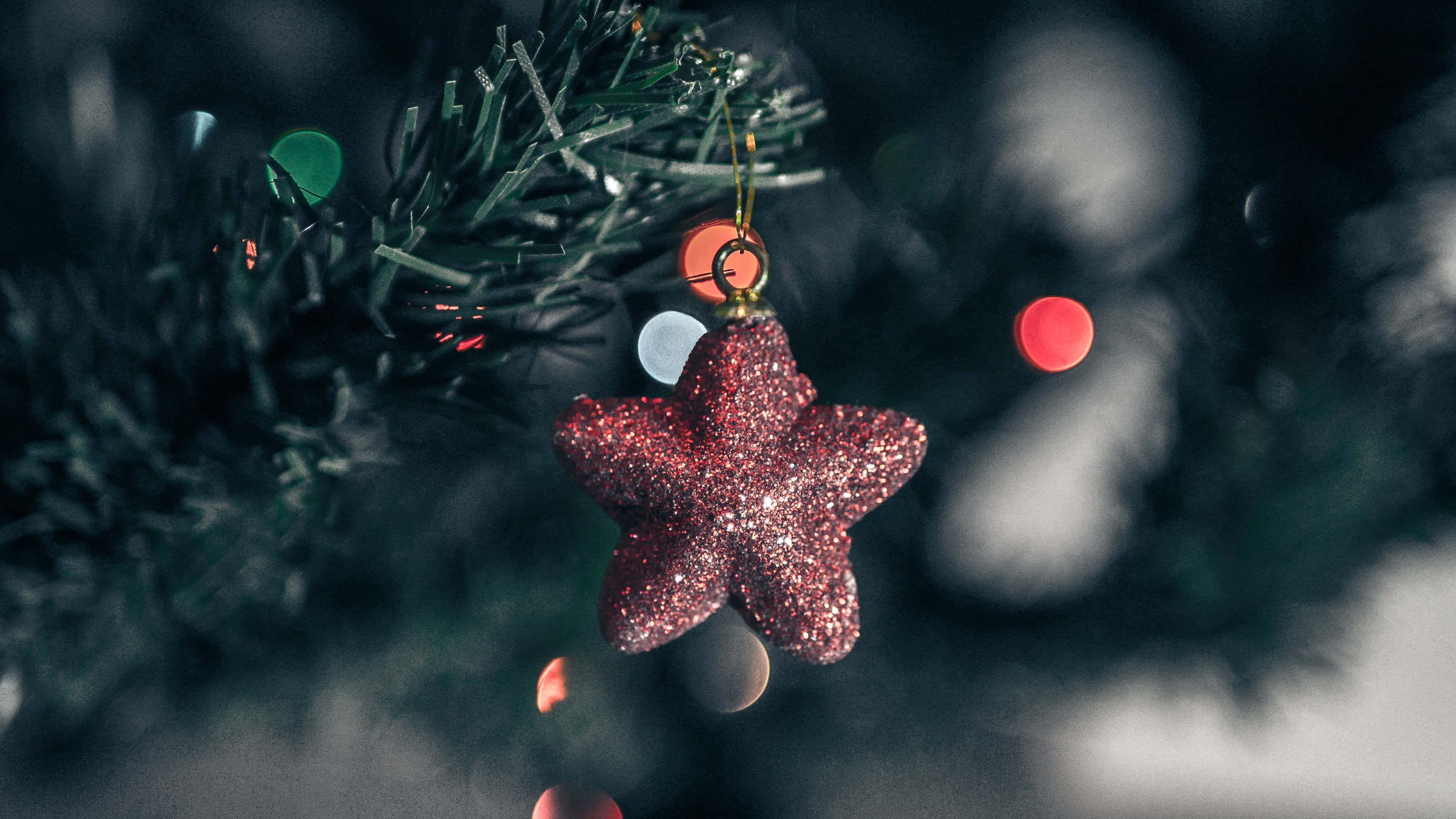 Christmas Star, red star ornament, dark green pine branch, 4K Desktop Wallpaper