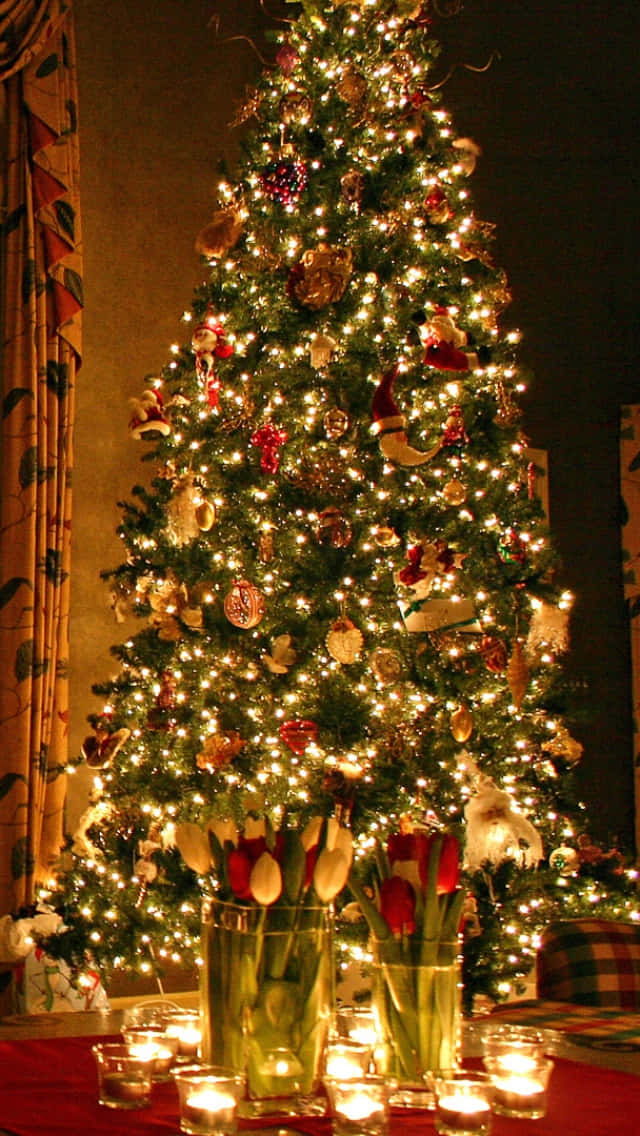 Christmas tree, red gold and white ornaments, red tulips, SD Phone Wallpaper