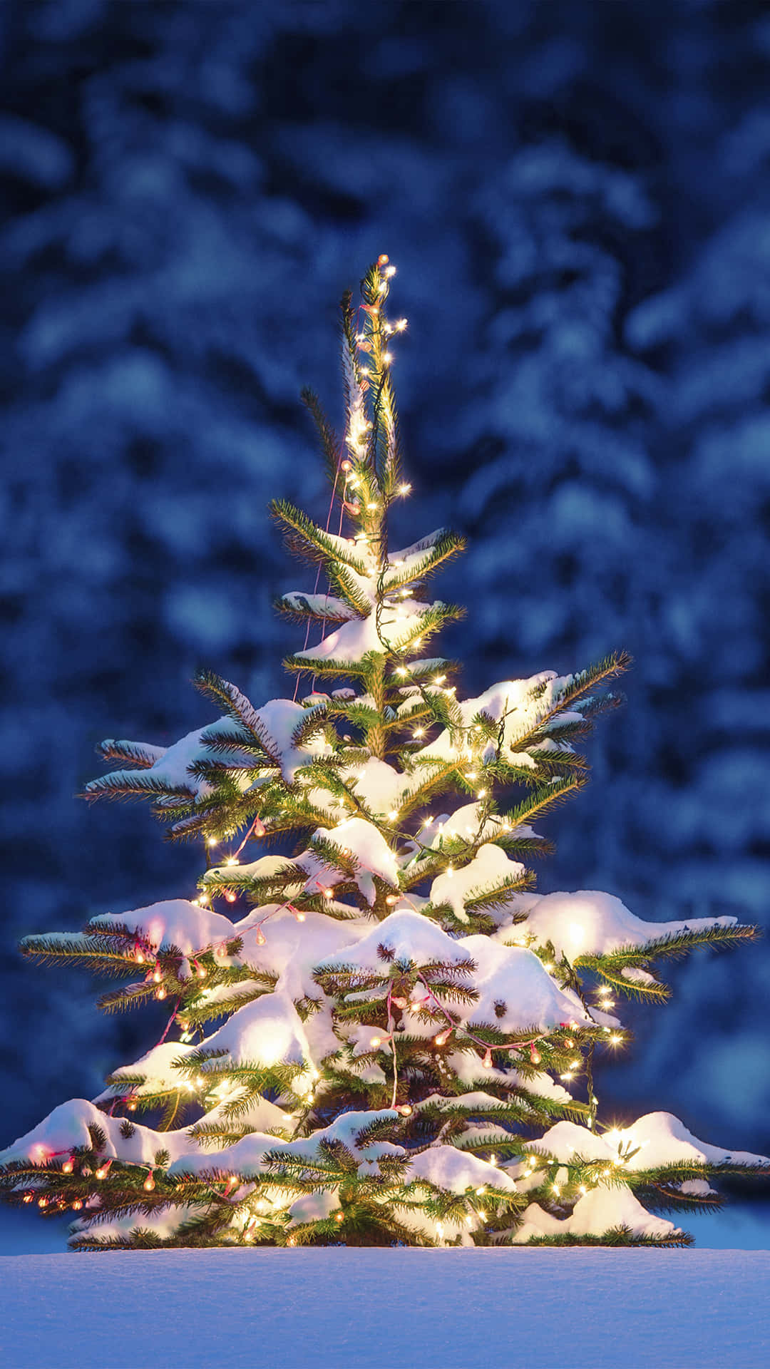 snowy Christmas tree, string lights, evergreen tree, Full HD Phone Wallpaper