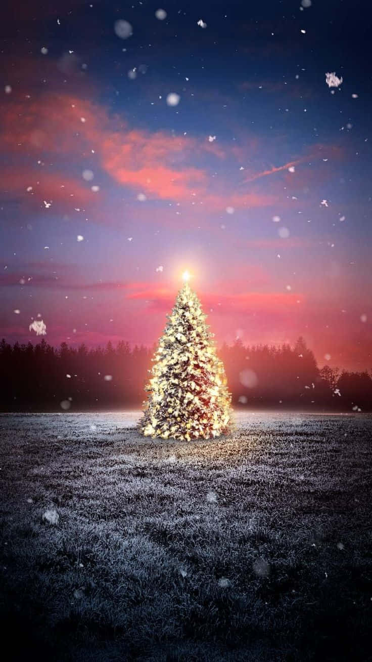 Twilight Snowfall Christmas Tree, snowy field, vibrant twilight sky, HD Phone Wallpaper