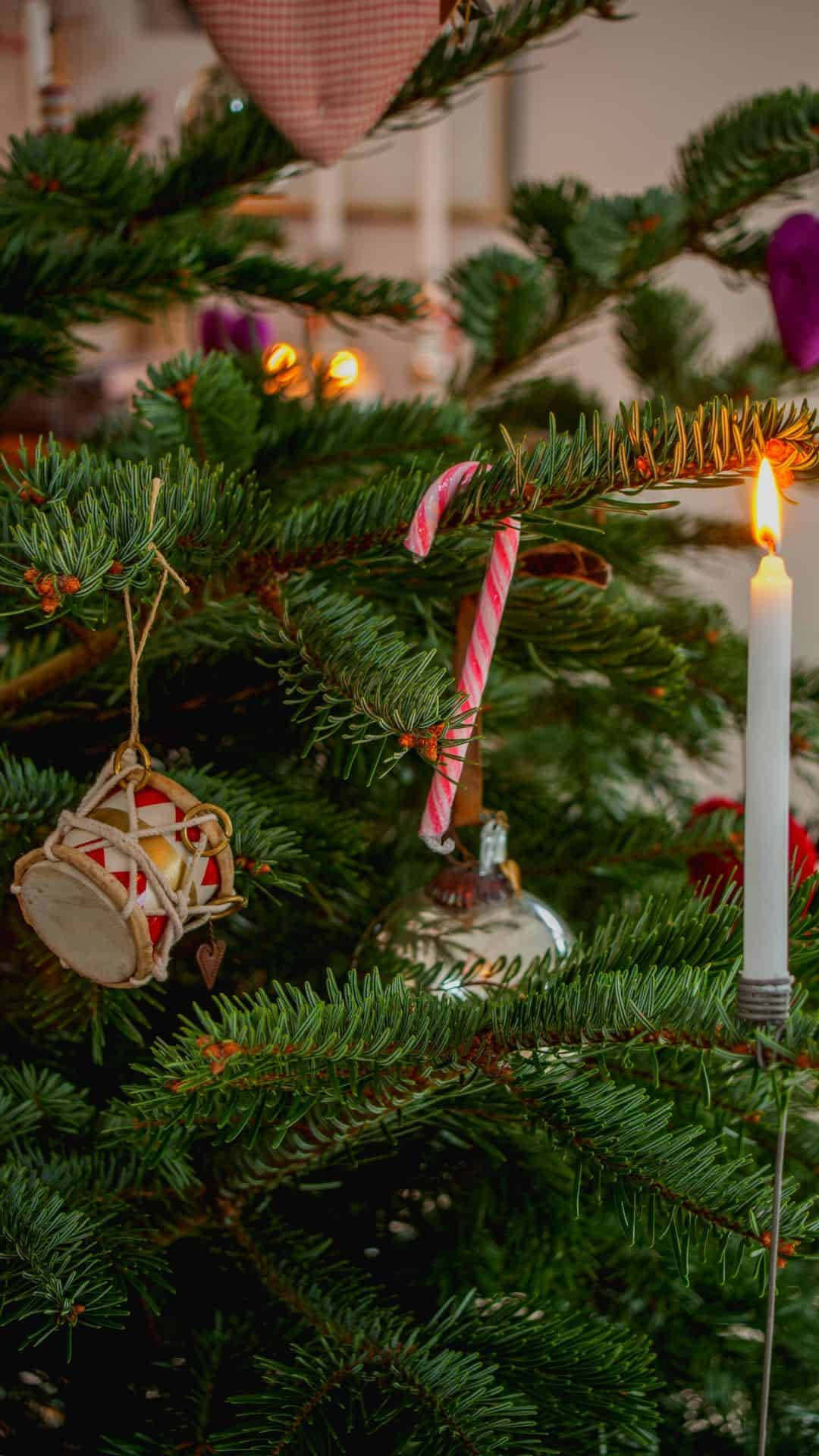 iPhone, Christmas tree, candle candy cane, Full HD Phone Wallpaper