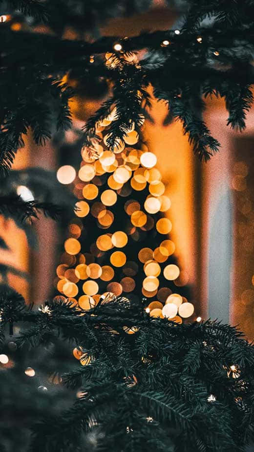 Christmas Tree, i Phone, bokeh, SD Phone Wallpaper