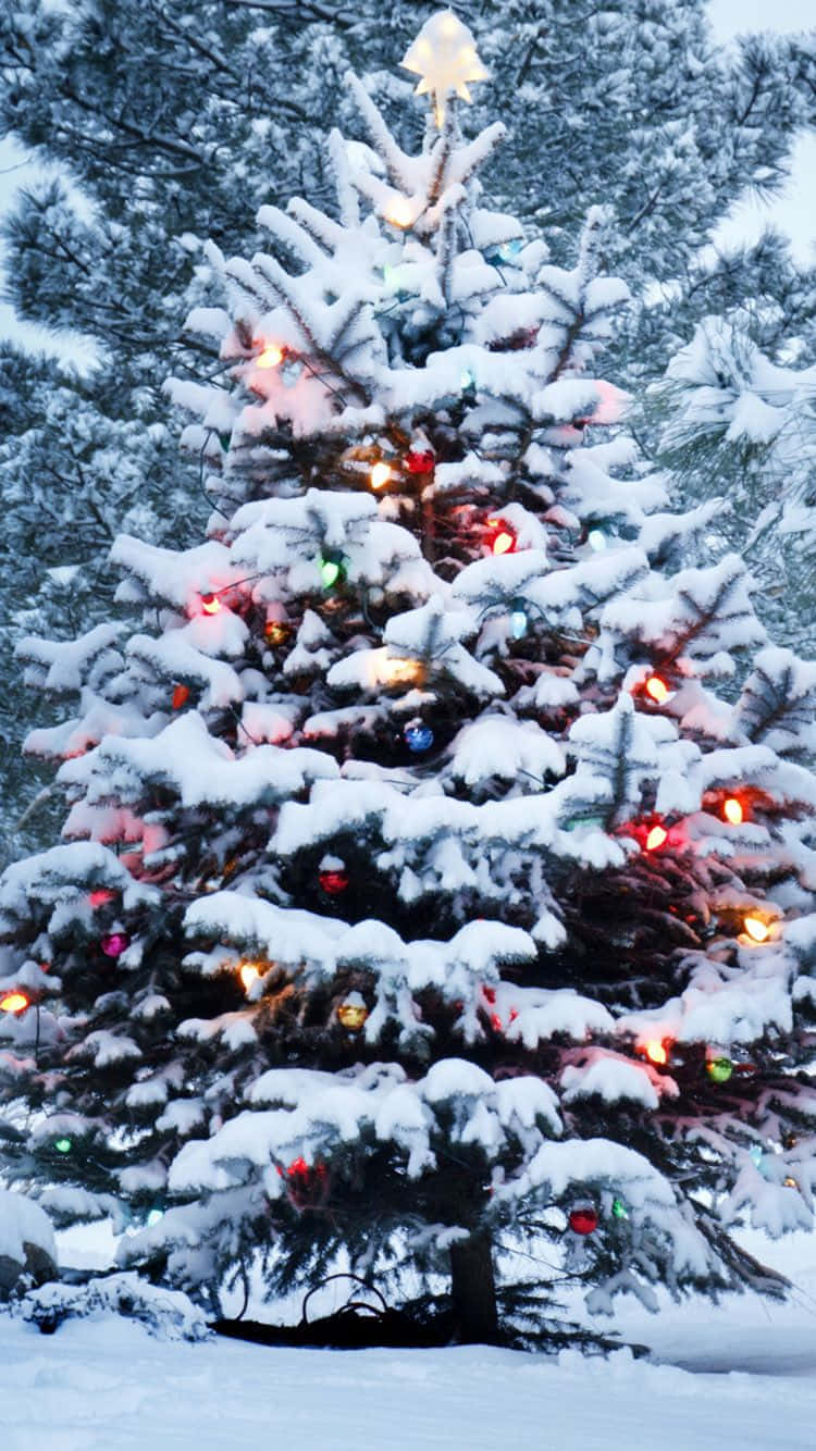 Snowy Christmas Tree, colorful lights, star topper, HD Phone Wallpaper
