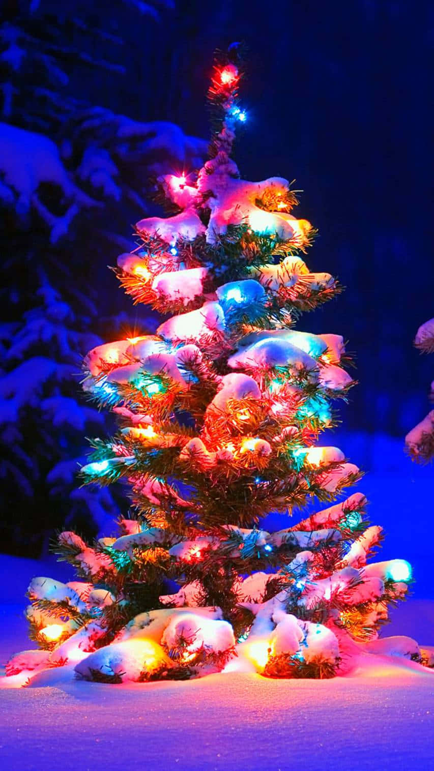 Vibrant Christmas Tree, snowy night, multicolored lights, HD Phone Wallpaper