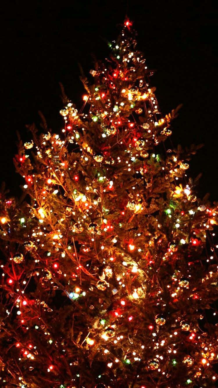 Christmas Tree, red, green, HD Phone Wallpaper