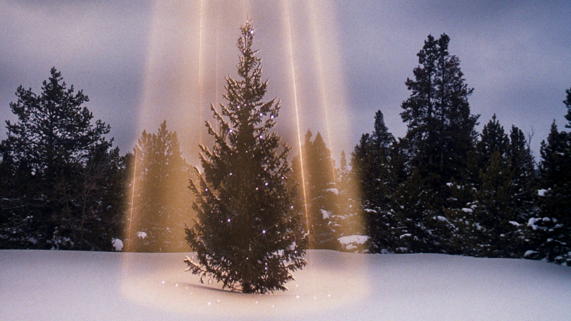 Christmas Vacation, snow-dusted pine tree, divine golden light beams, Full HD Desktop Wallpaper