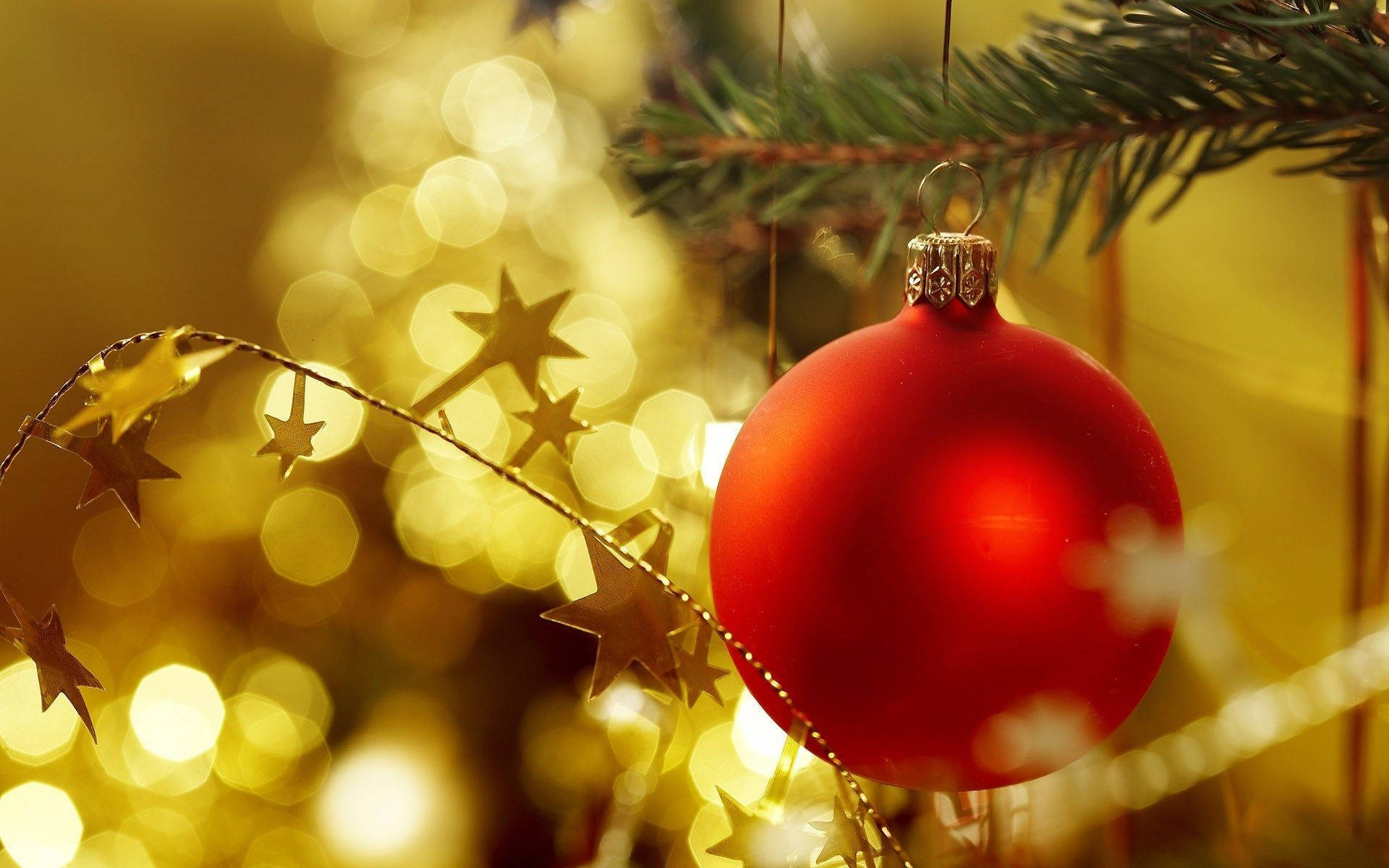 glossy red Christmas ornament, pine branch, warm golden bokeh background, Full HD Desktop Wallpaper