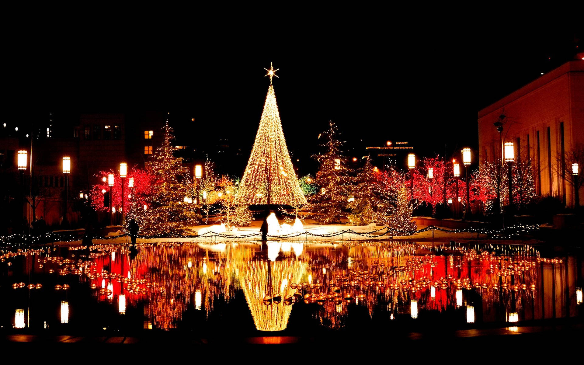 Christmas tree, golden lights, calm pond, Full HD Desktop Wallpaper