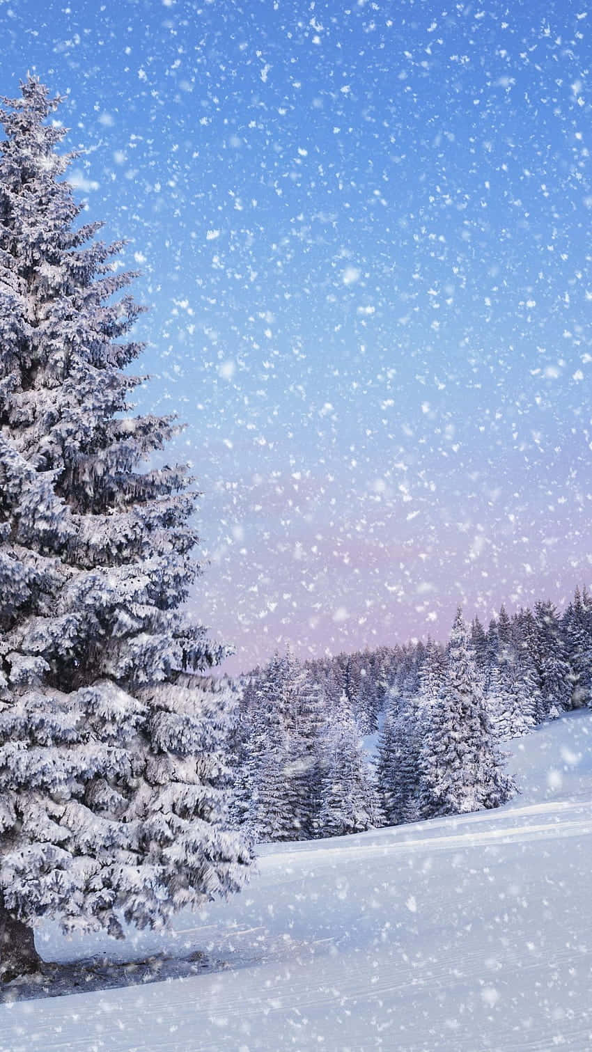 Christmas Winter Wonderland, snowflakes, clear blue sky, HD Phone Wallpaper