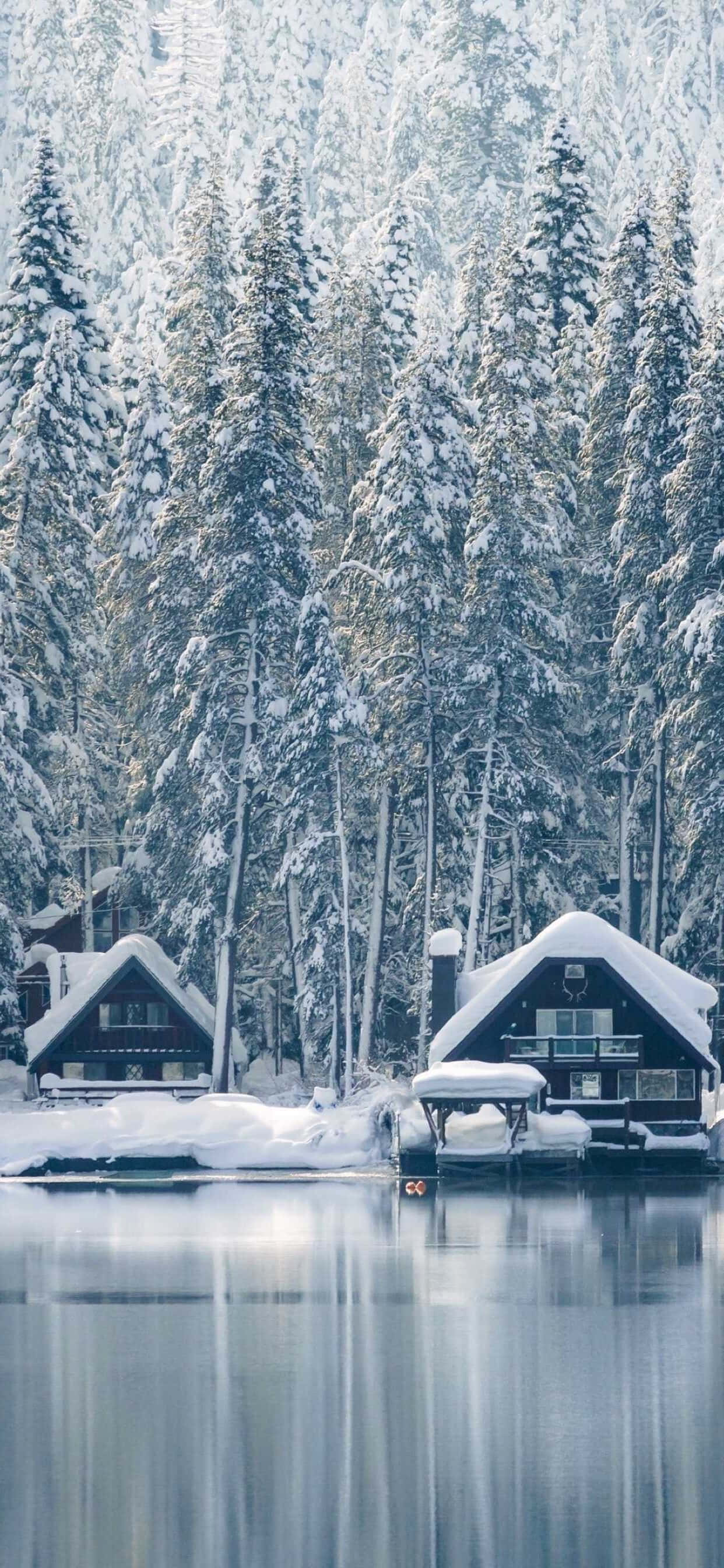 Christmas Winter Wonderland, snow-covered cabins, towering pine trees, 2K Phone Wallpaper