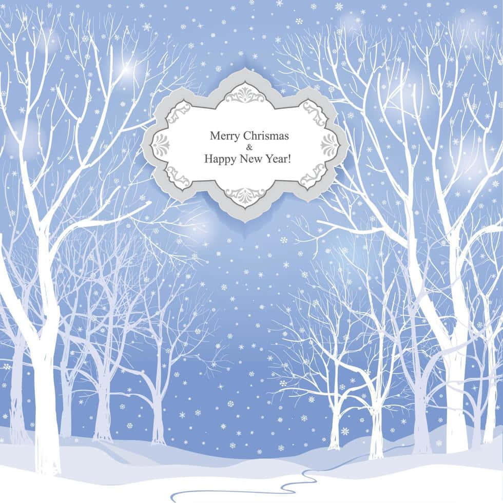 Christmas Winter Wonderland, snowflakes, winter forest, SD Desktop Wallpaper