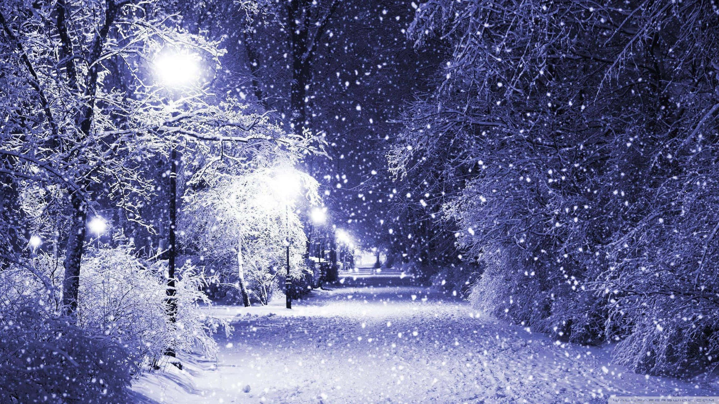Christmas Winter Wonderland, snowflakes, moonlit winter park, Full HD Desktop Wallpaper