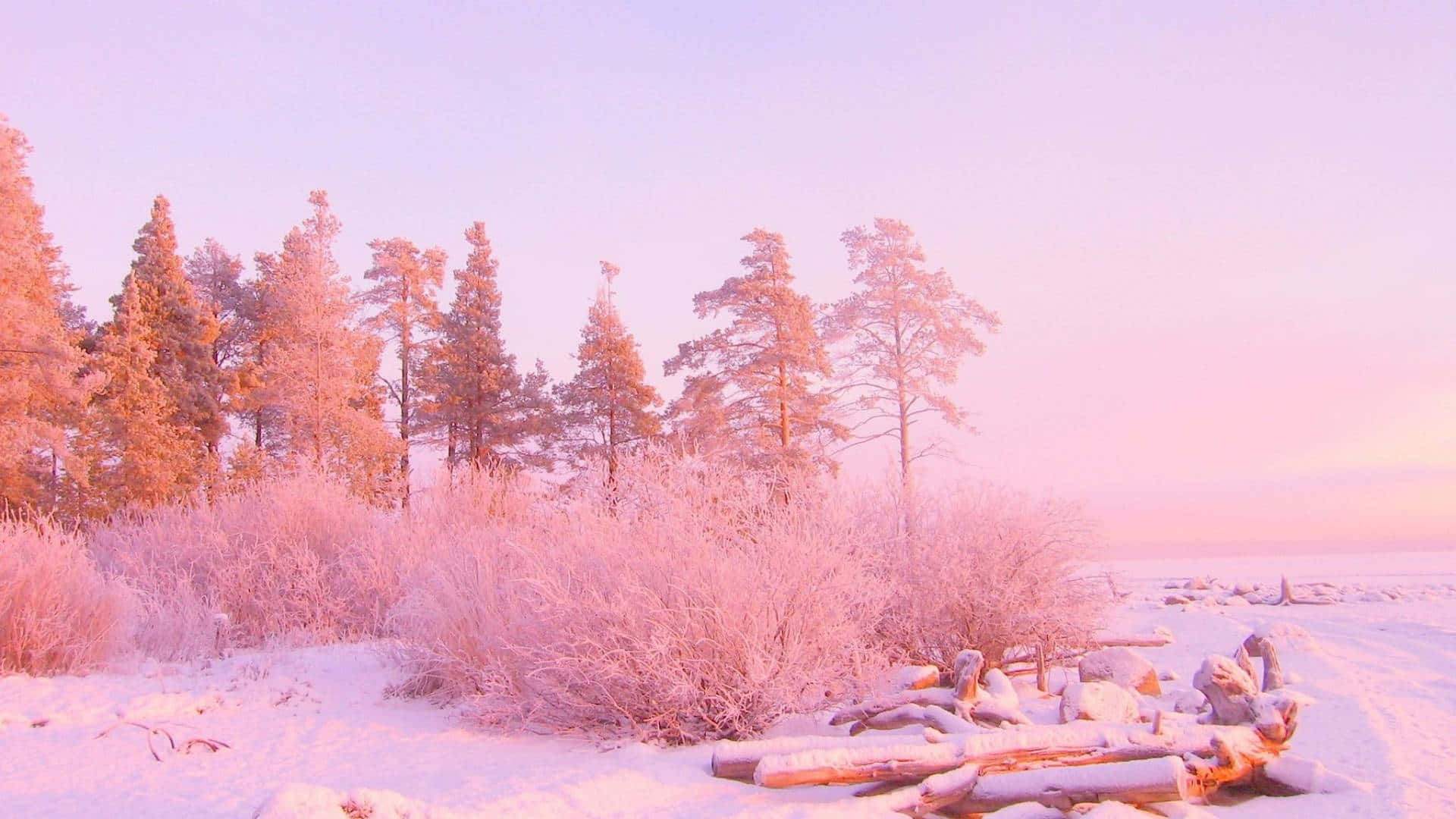 Christmas Winter Wonderland, snow, frost-covered trees, Full HD Desktop Wallpaper
