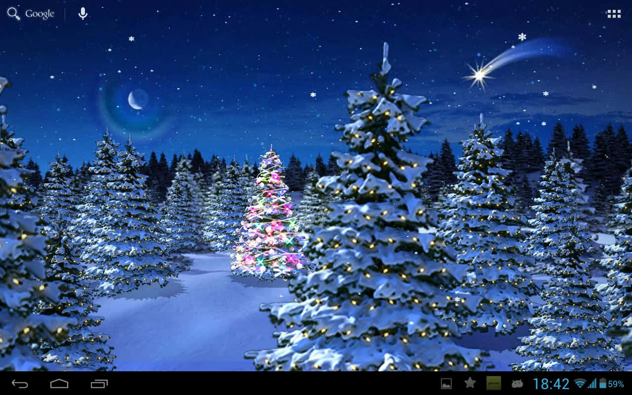 Christmas Winter Wonderland, snowy forest, night, HD Desktop Wallpaper