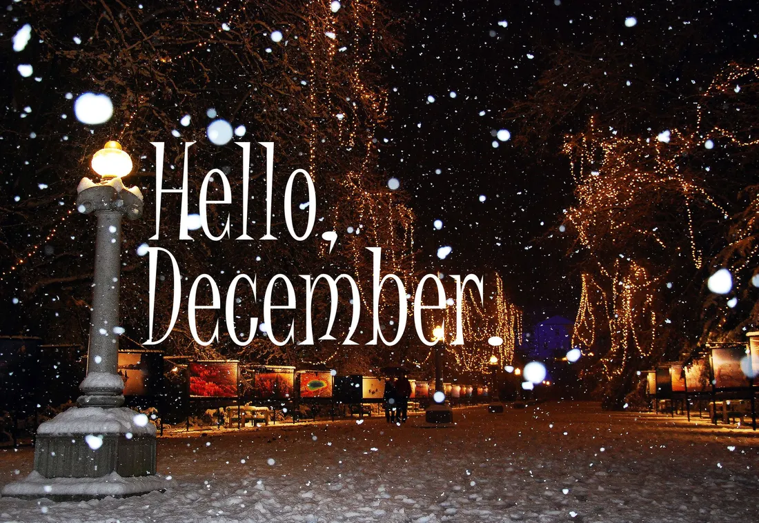 Christmas Winter