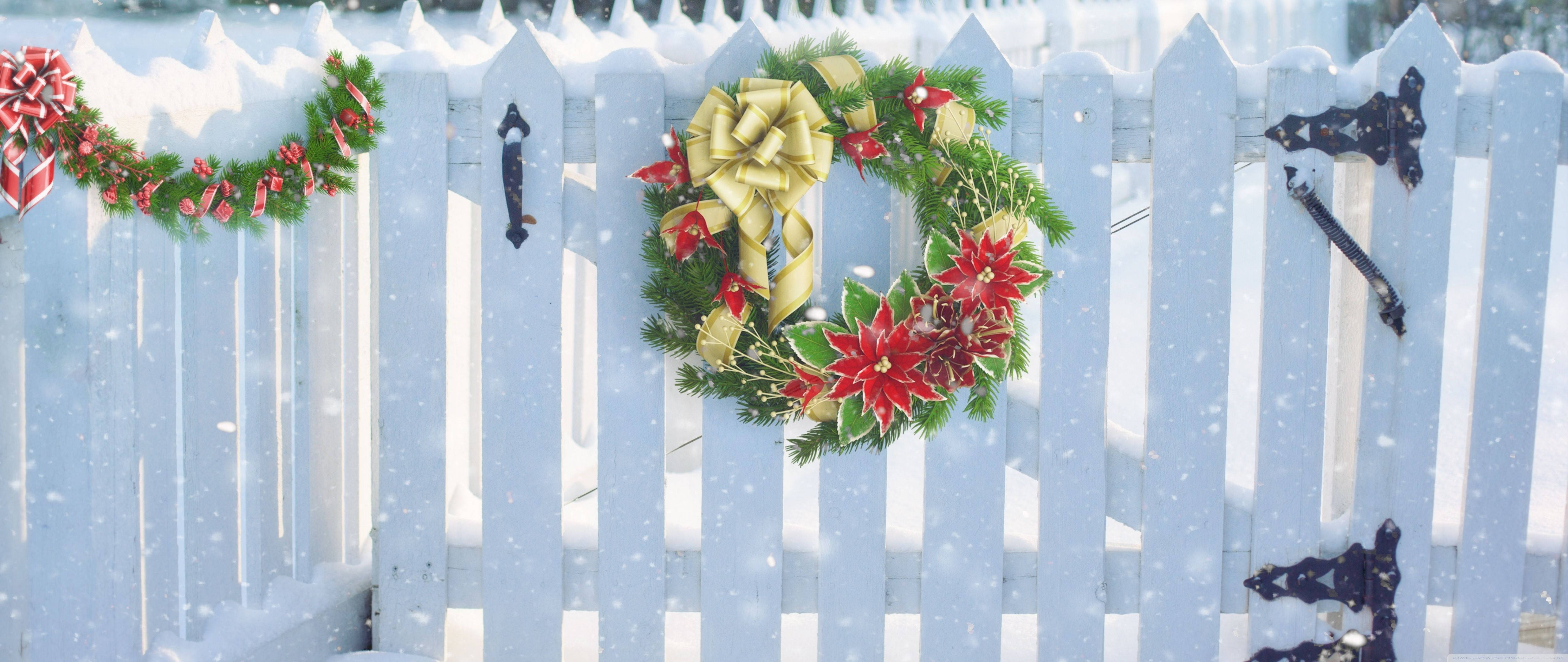 Christmas Wreath, white picket fence, red poinsettias, 5K Desktop Wallpaper