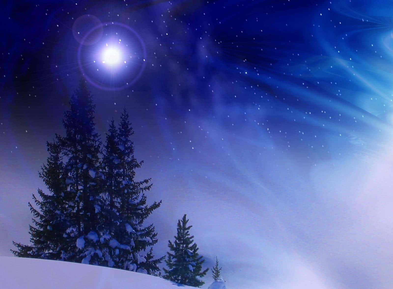 Winter Christmas, snowy pine trees, starry night sky, HD Desktop Wallpaper
