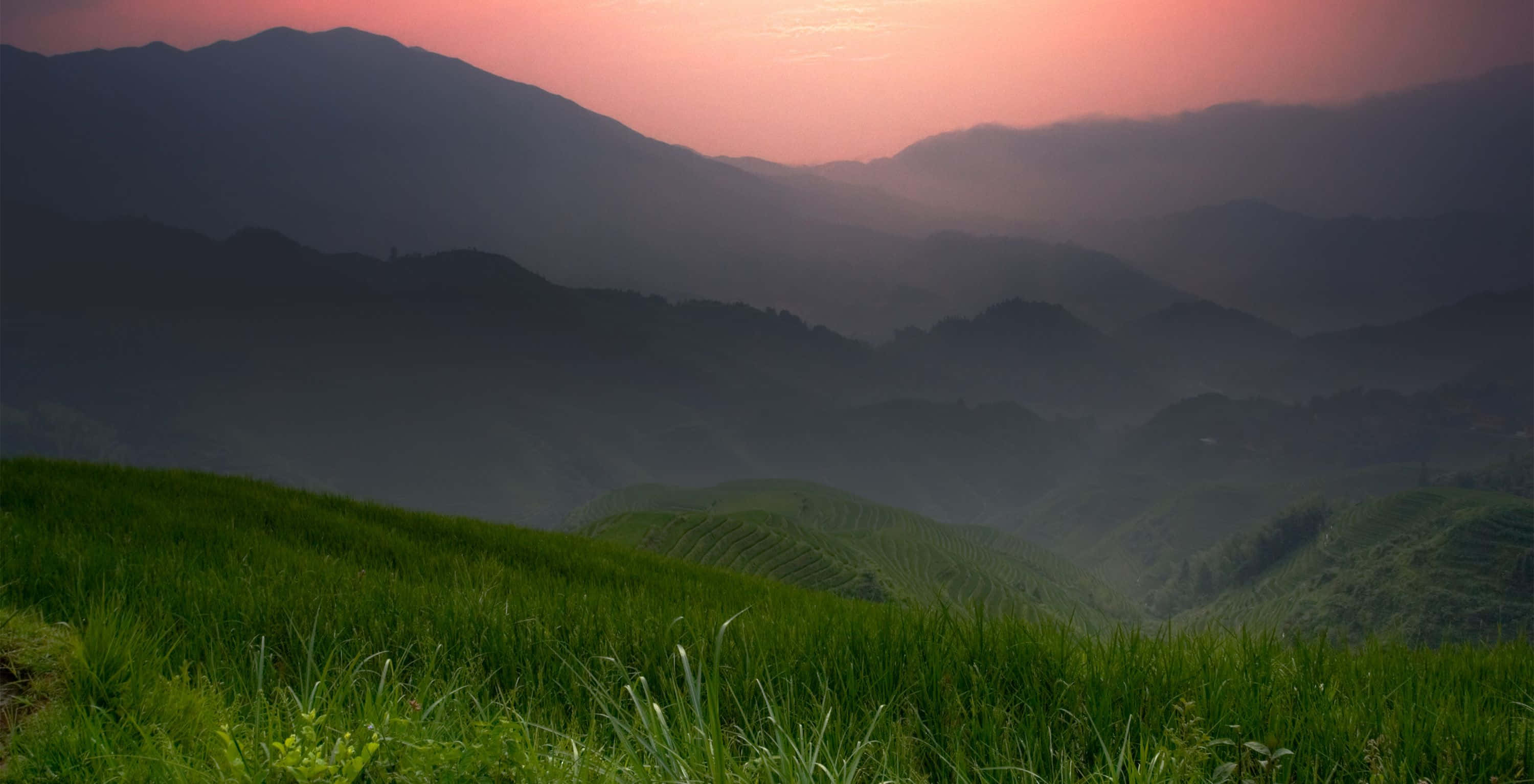 Chrome OS, soft pink sunset sky, rolling green terraced hills, 2K Desktop Wallpaper